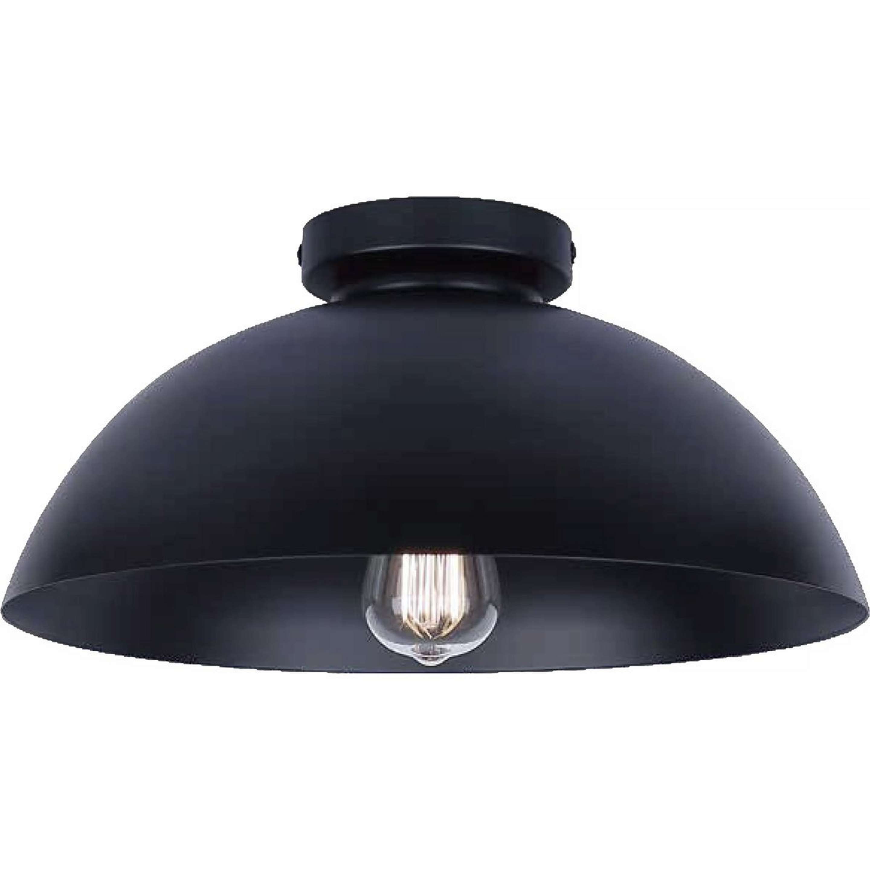 A Henshaw Ceiling Light with Matte Black color
