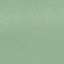 Light Green / Silver