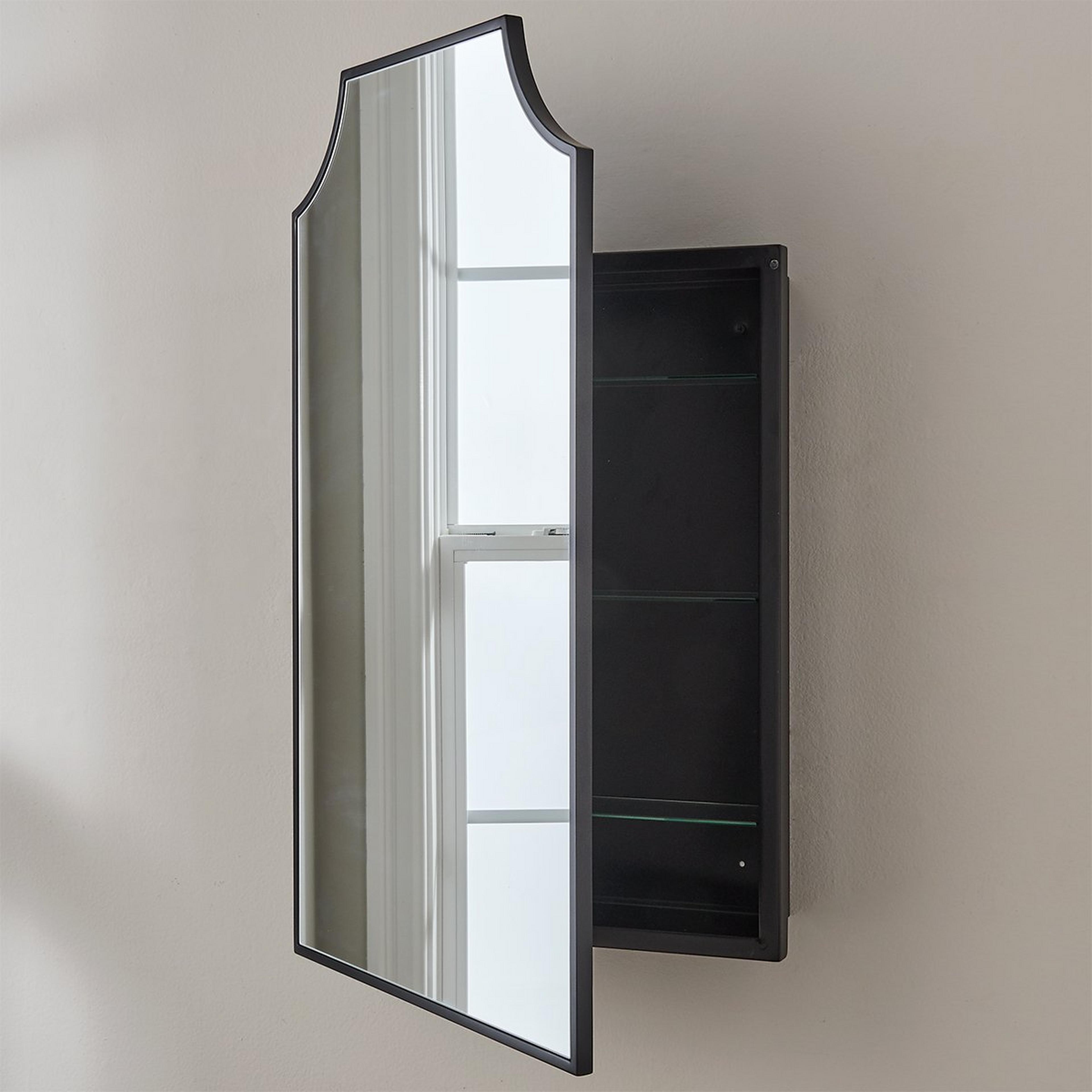 A Sylvayn Medicine Cabinet Mirror with Black color