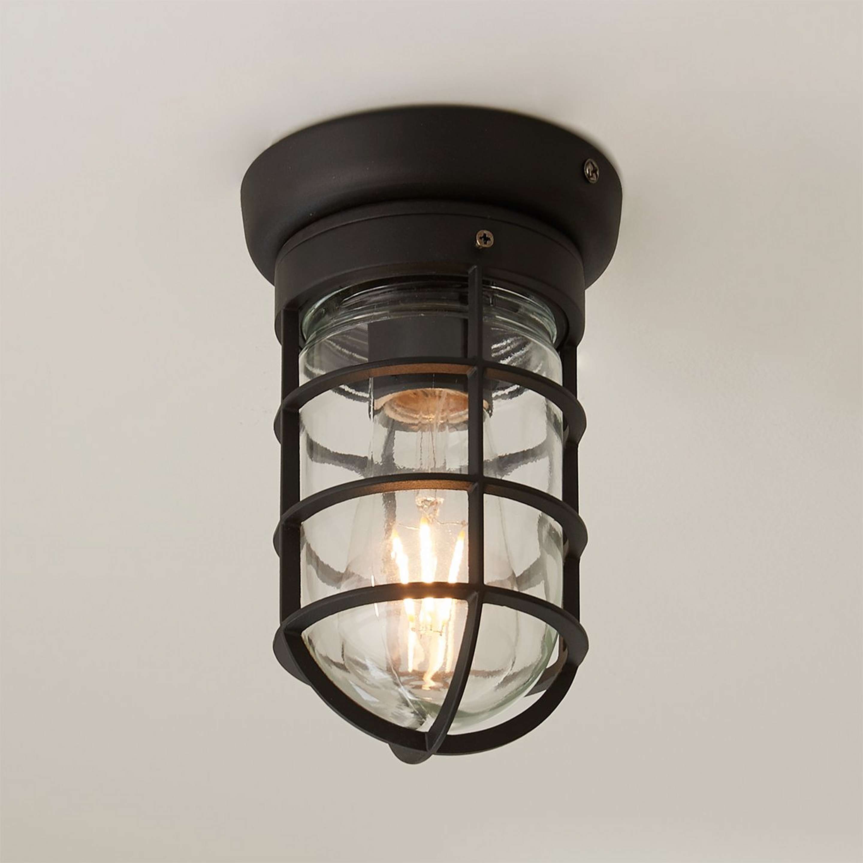 A Blissful Boathouse Outdoor Ceiling Light with Black / Clear color