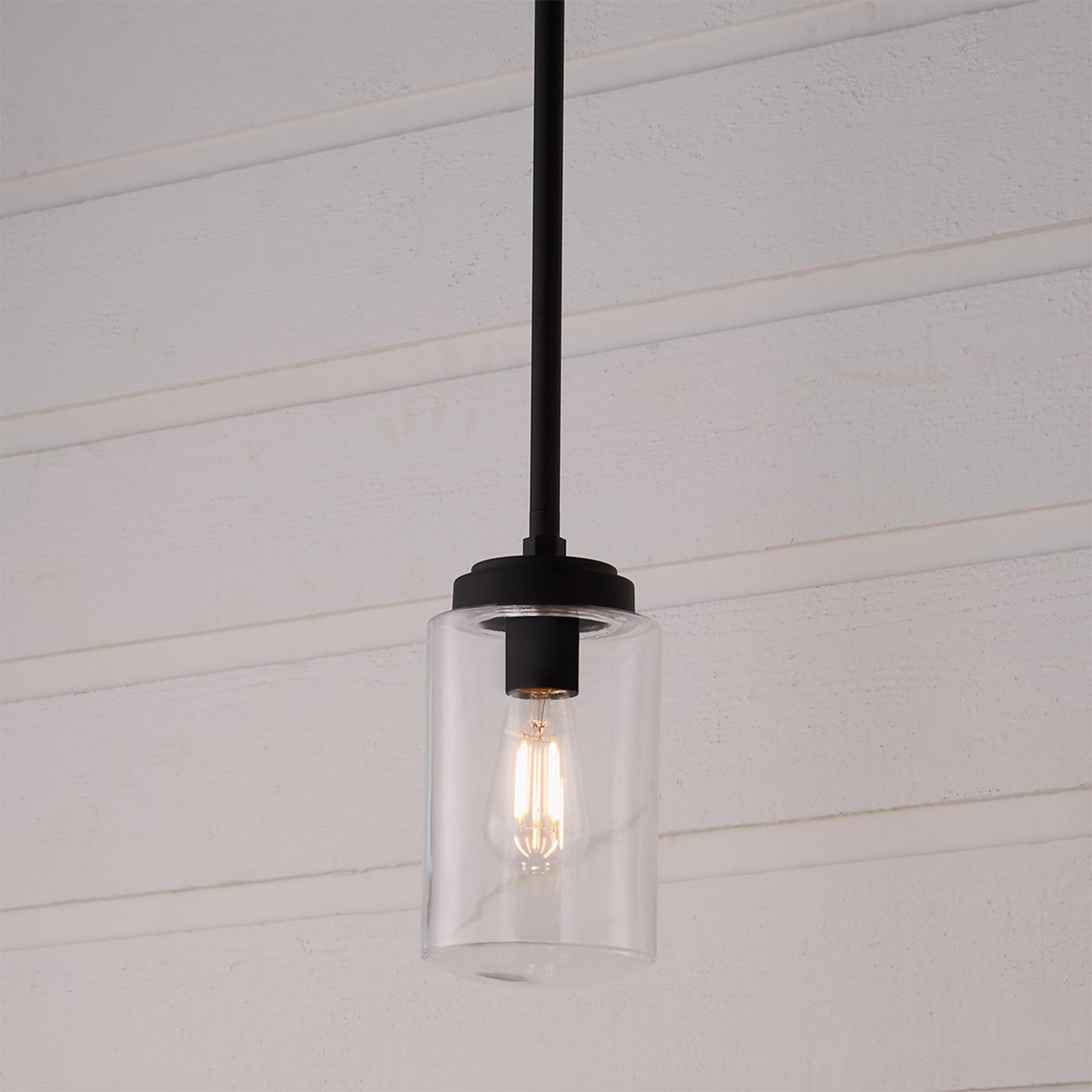 A Industrial Oasis Outdoor Pendant with Black color