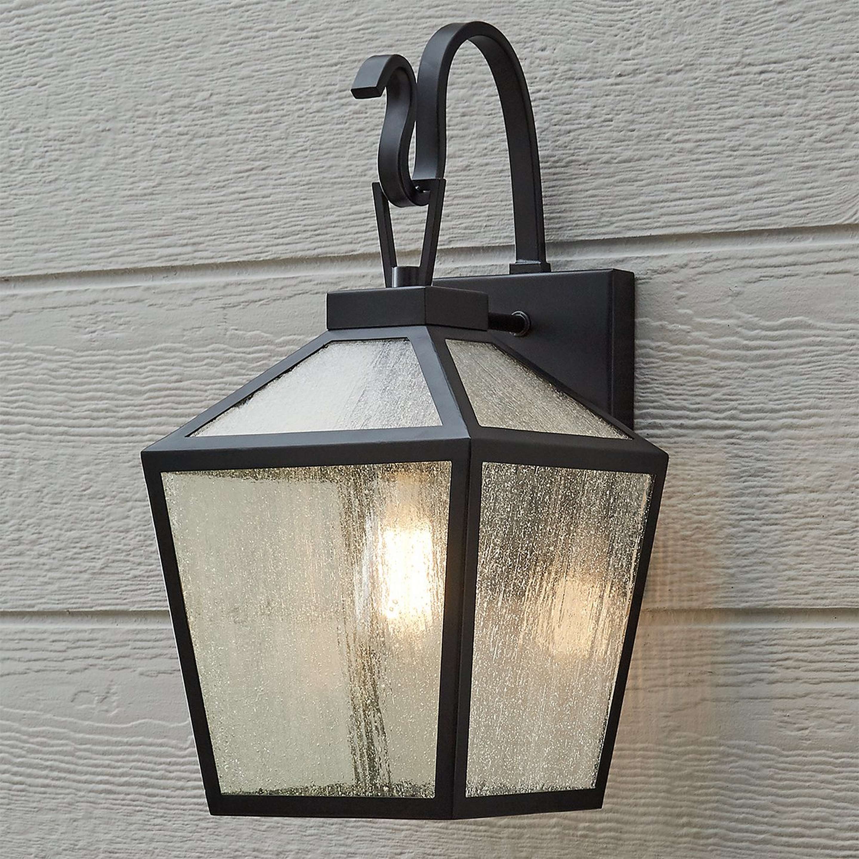 A Shenandoah Outdoor Sconce with Black / Frosted Glass color