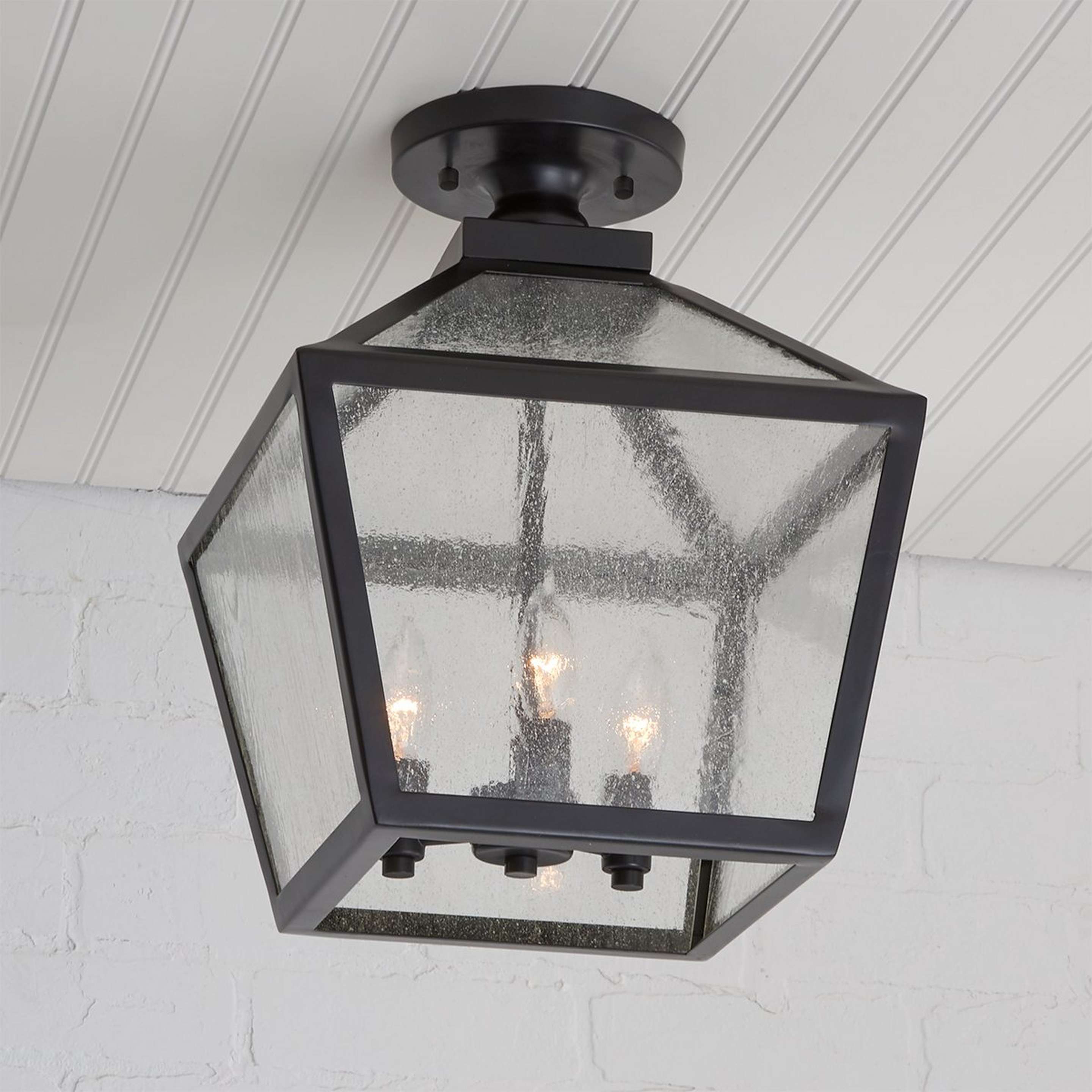 A Shenandoah Outdoor Ceiling Light with Black / Frosted Glass color