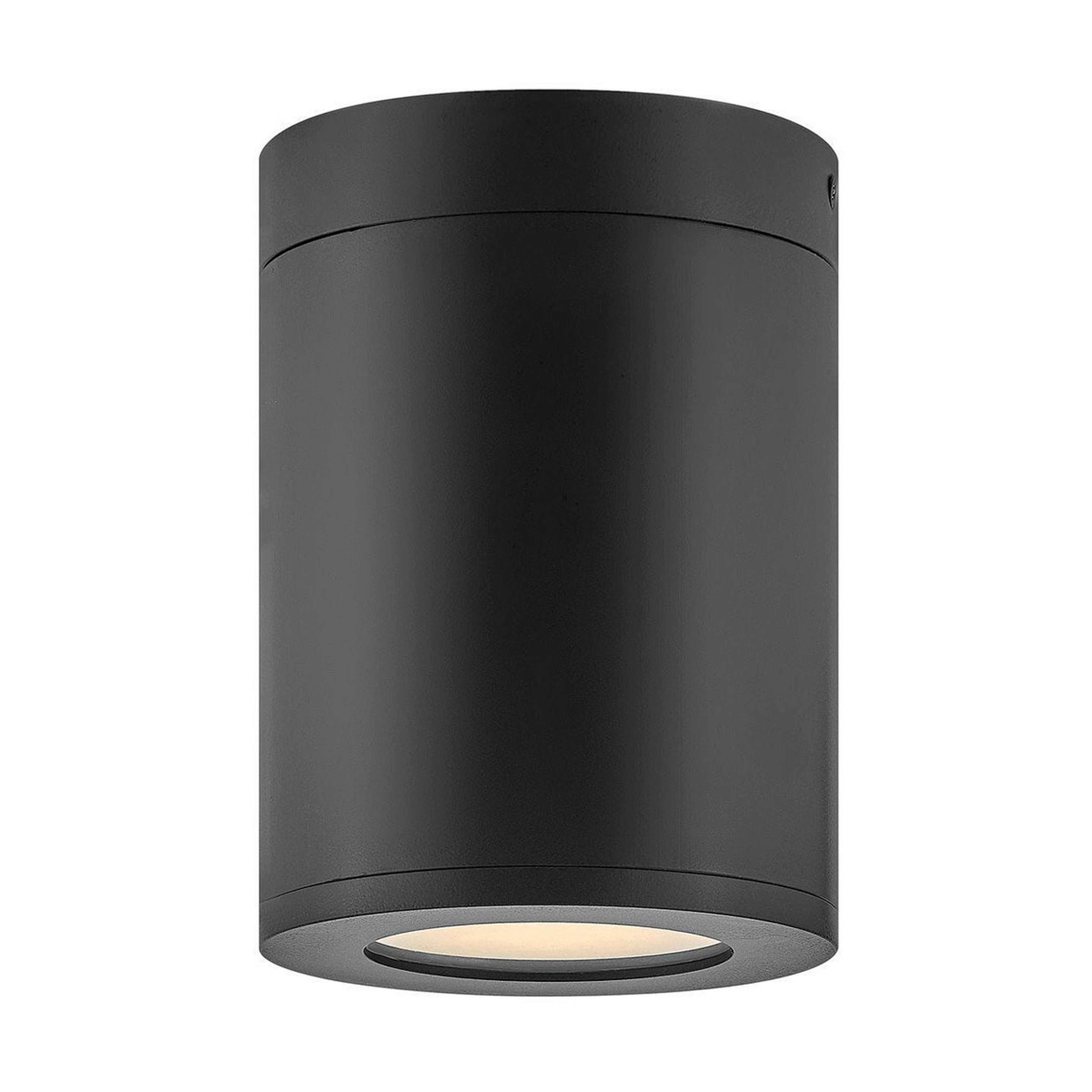 A Alistair Outdoor Ceiling Light with Black color