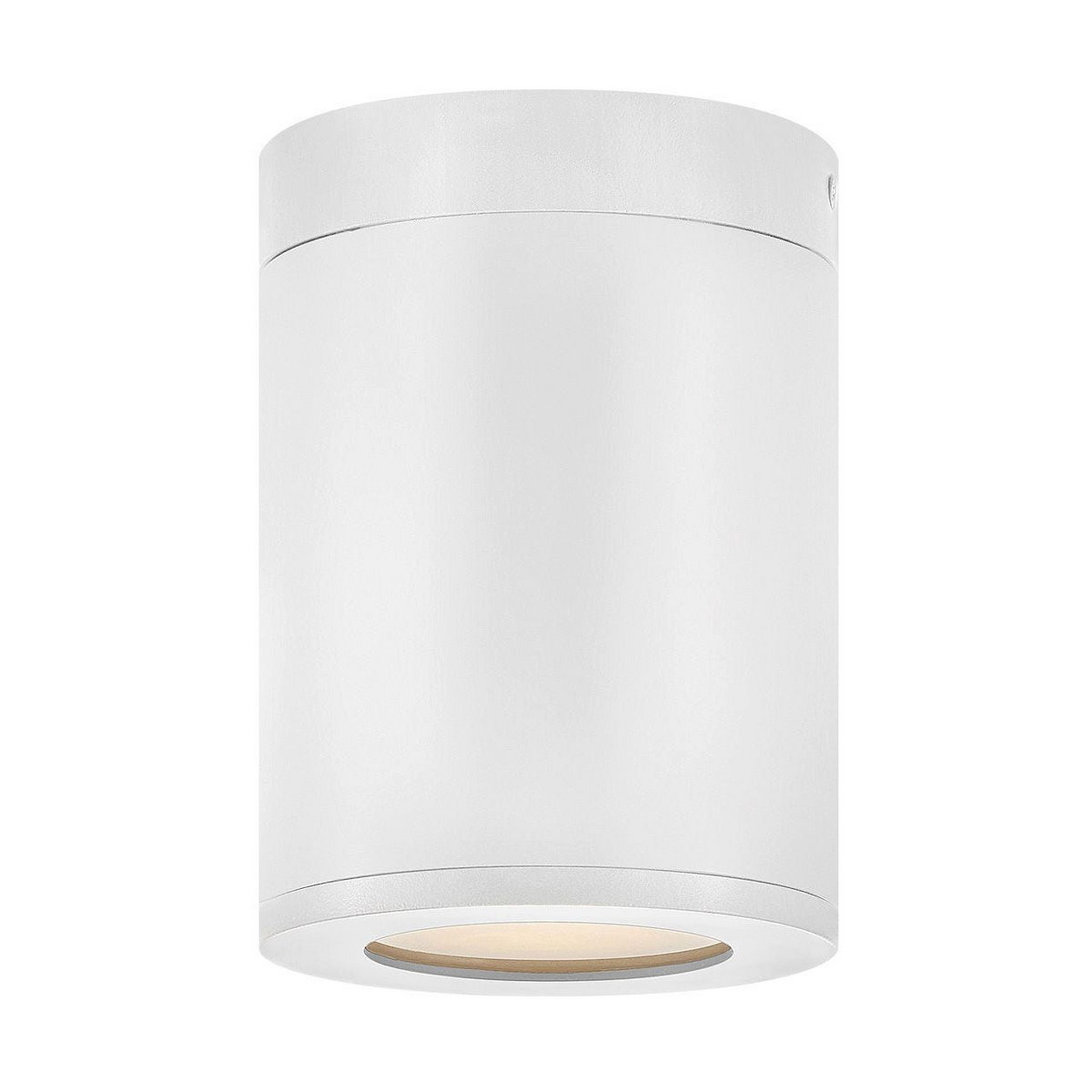 A Alistair Outdoor Ceiling Light with White color