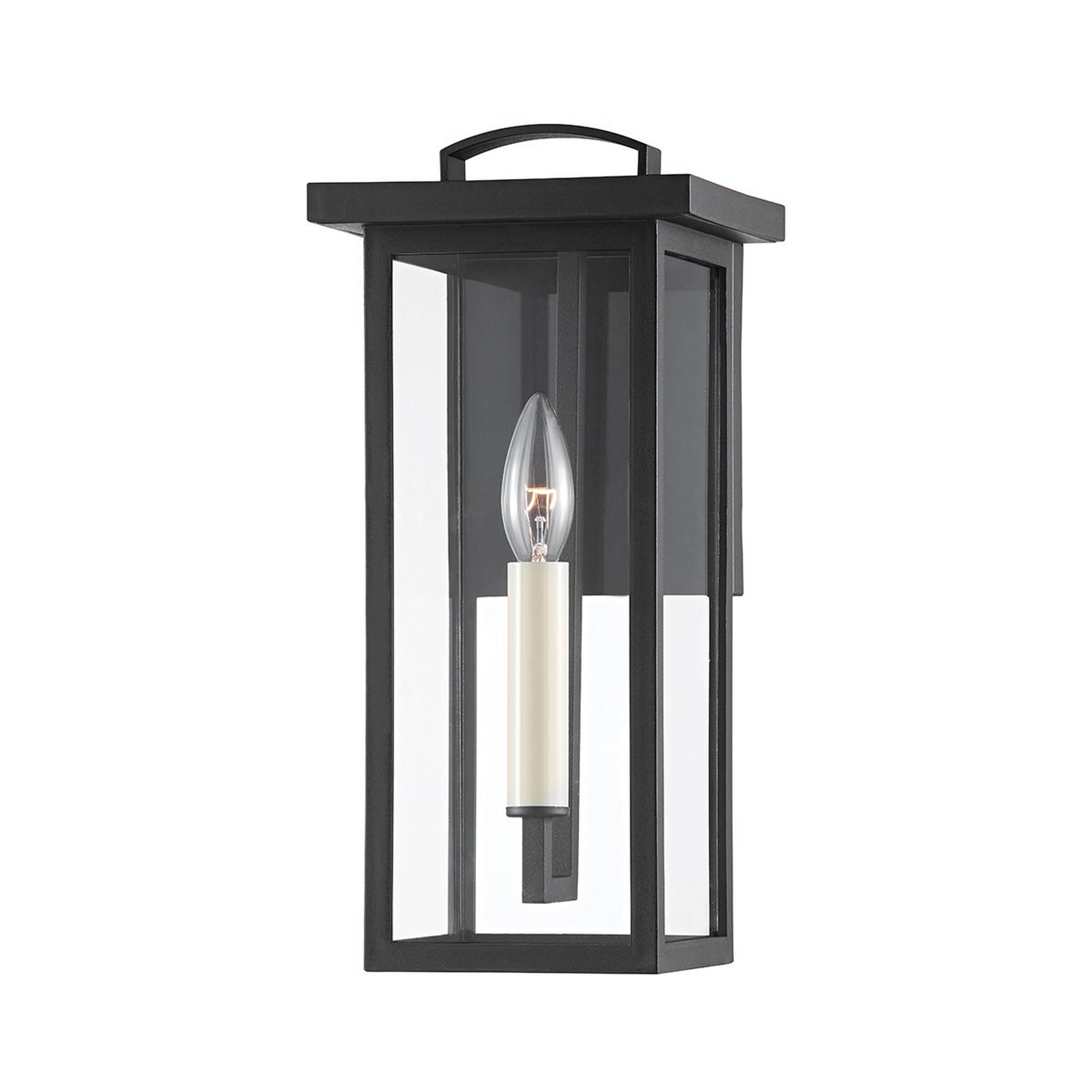 A Sundew Outdoor Sconce - Small with Black / Clear Glass color