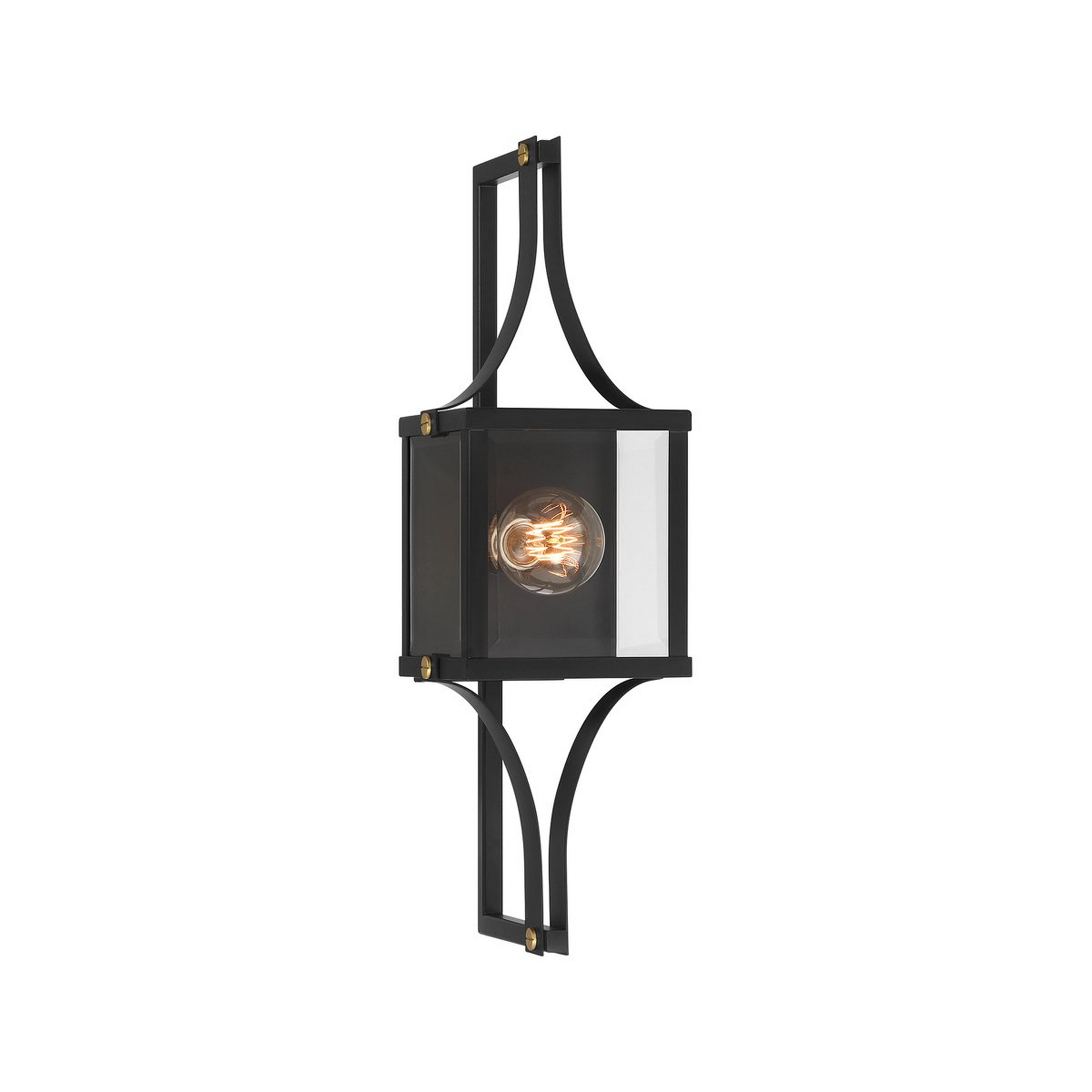 A Calendula Outdoor Sconce with Matte Black color