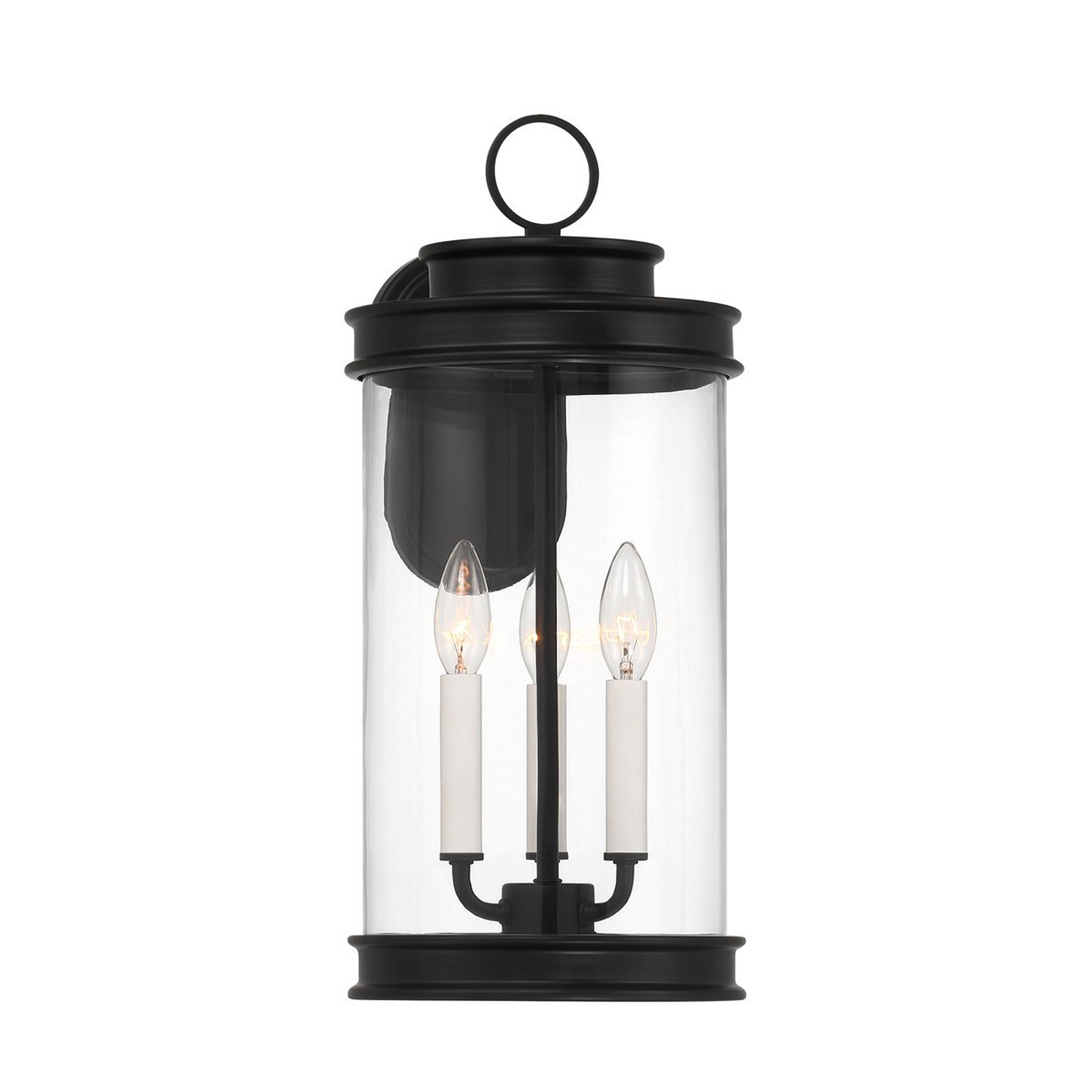 A Orazio Outdoor Sconce - Large with Matte Black color