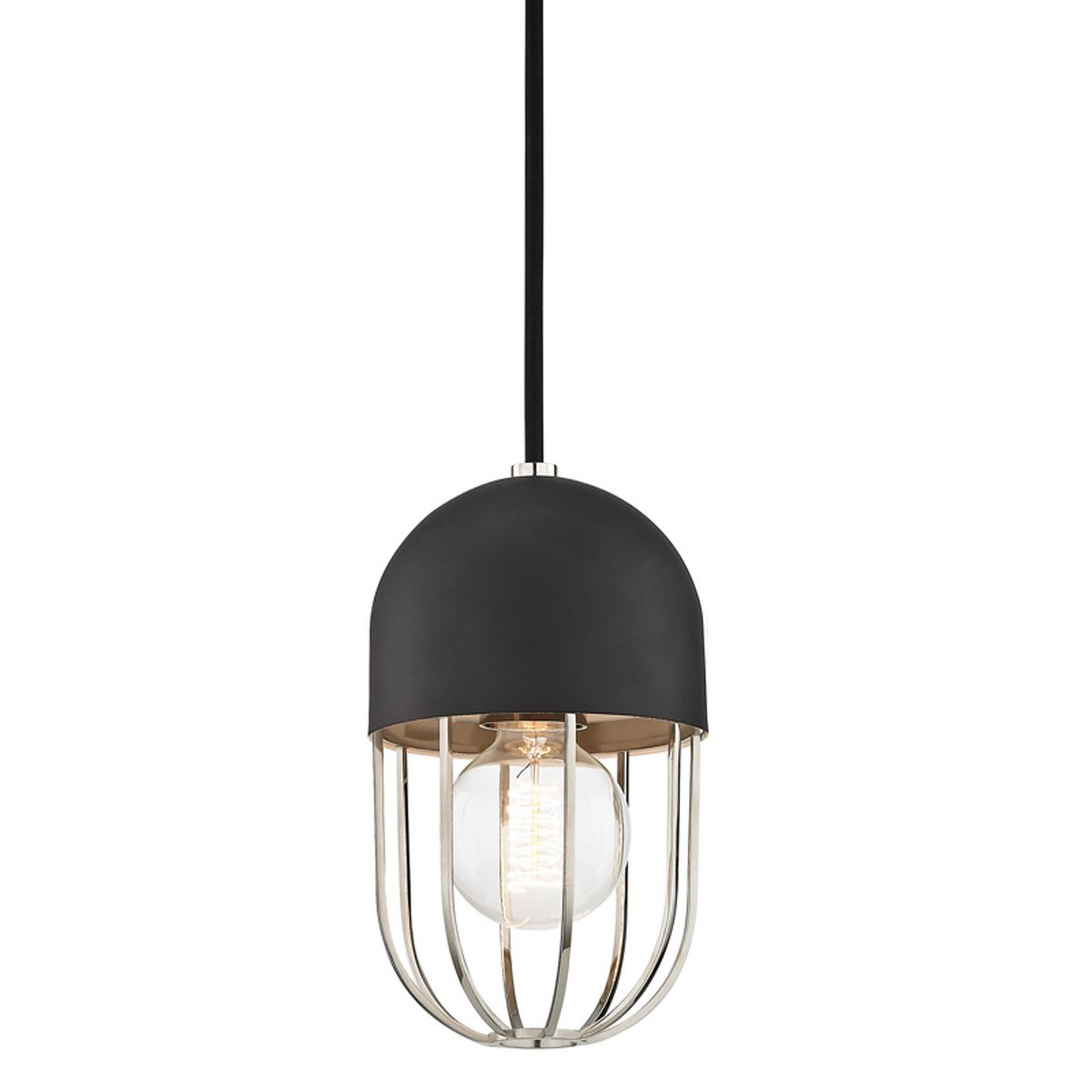 A Capsule Cage Pendant with Polished Nickel / Matte Black color