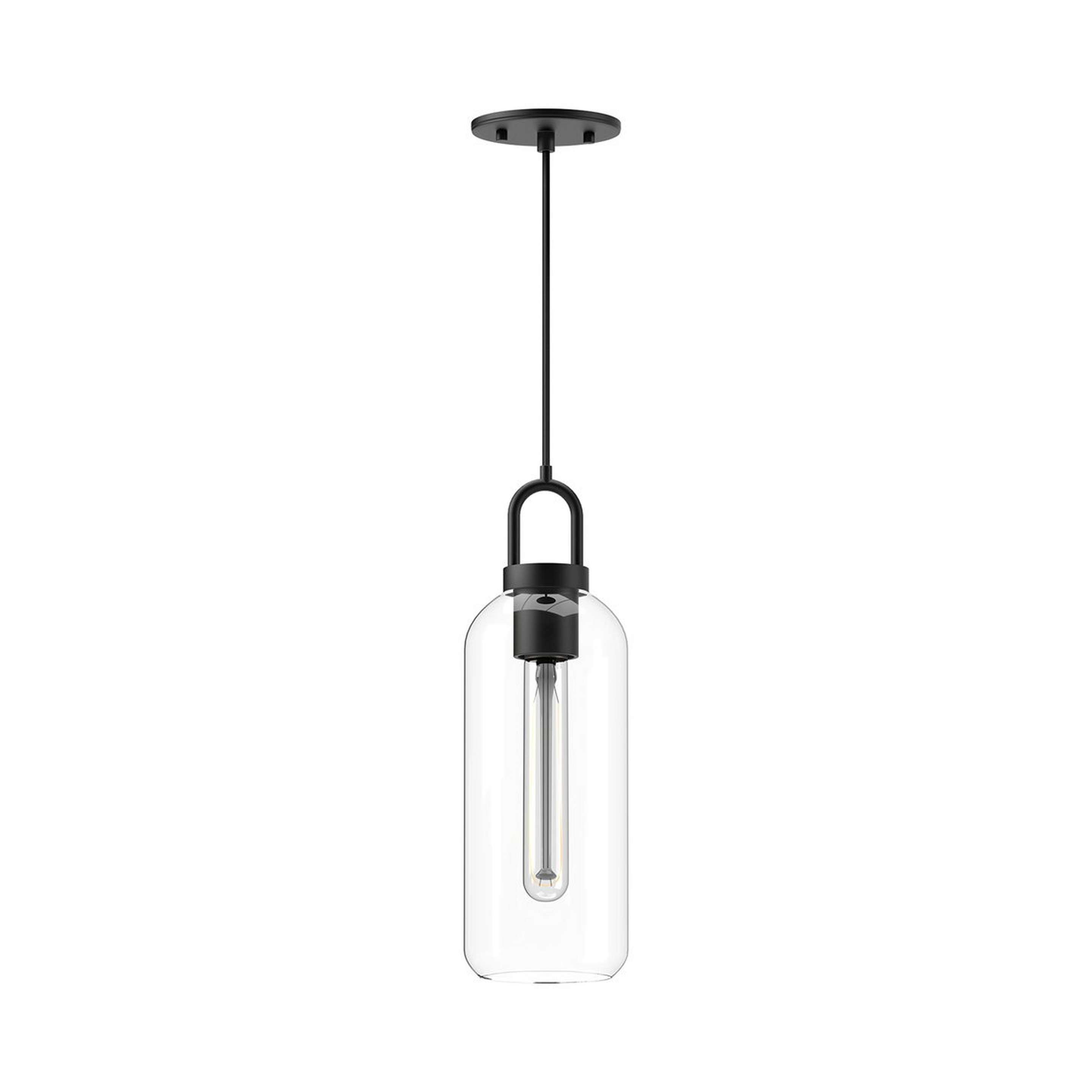 A Namily Pendant - Clear Glass with Matte Black / Clear Glass color