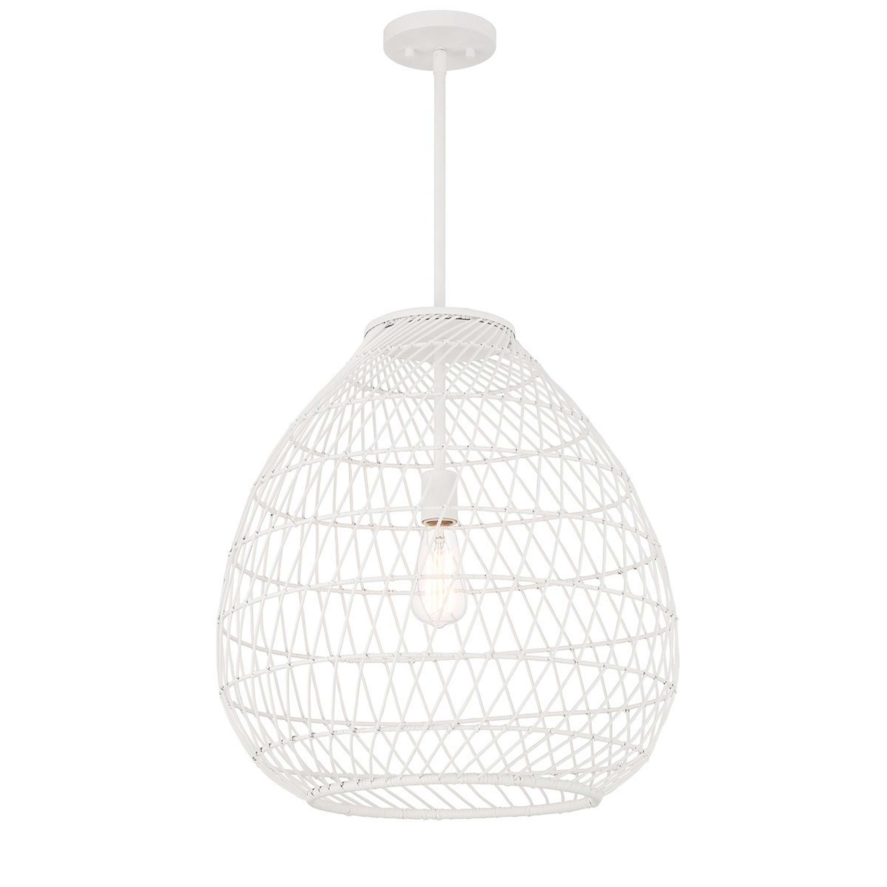 A Palmarito Indoor / Outdoor Pendant with Matte White color