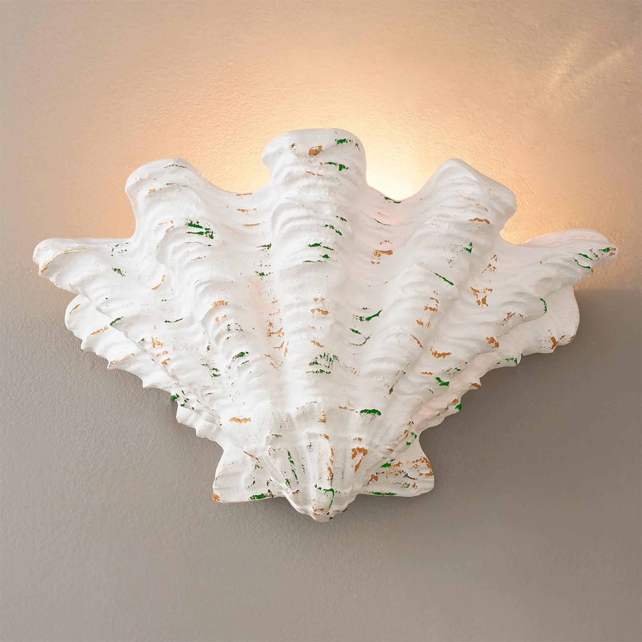 Scallop Shell Sconce | Shades of Light