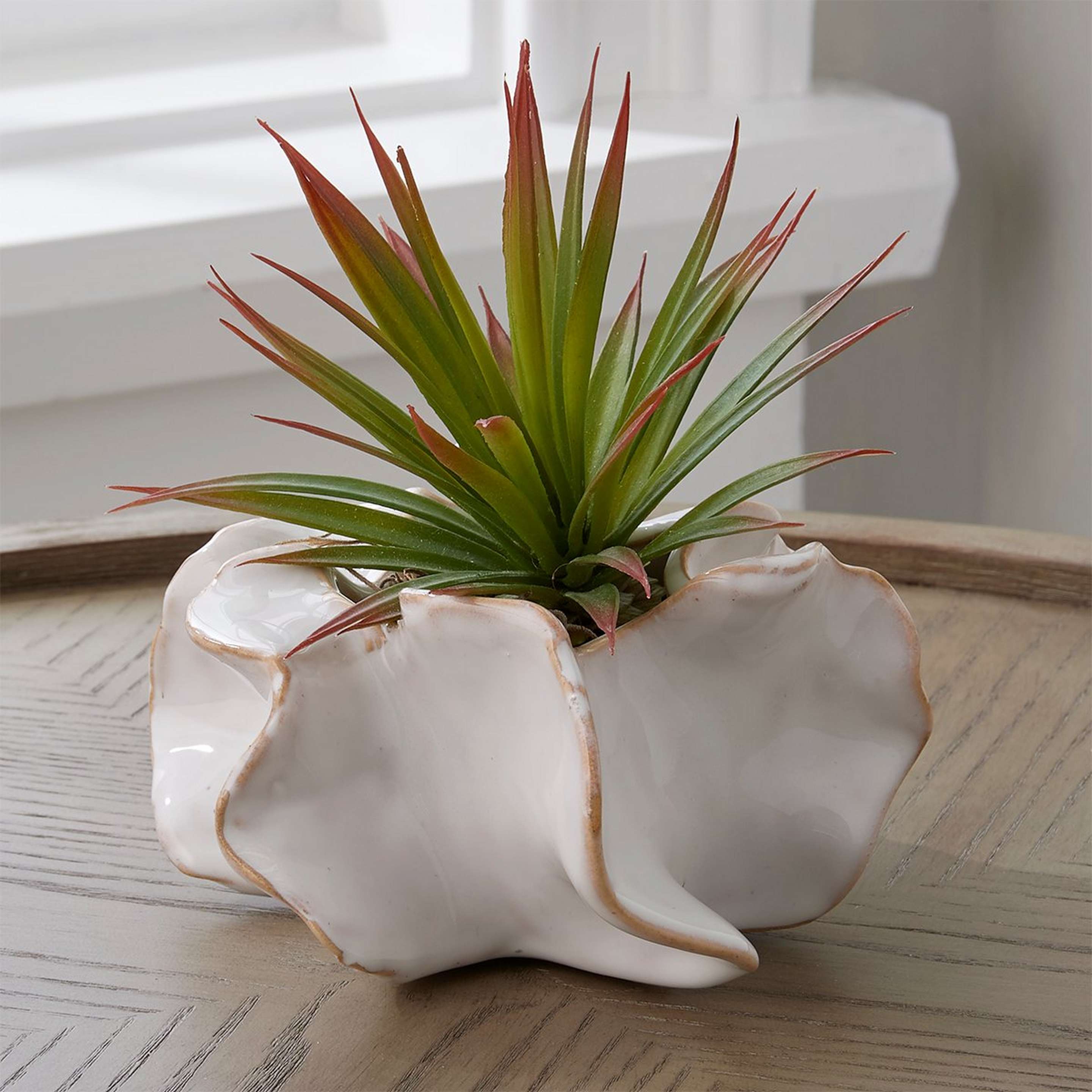 A White Ceramic Urchin Vase with undefined color