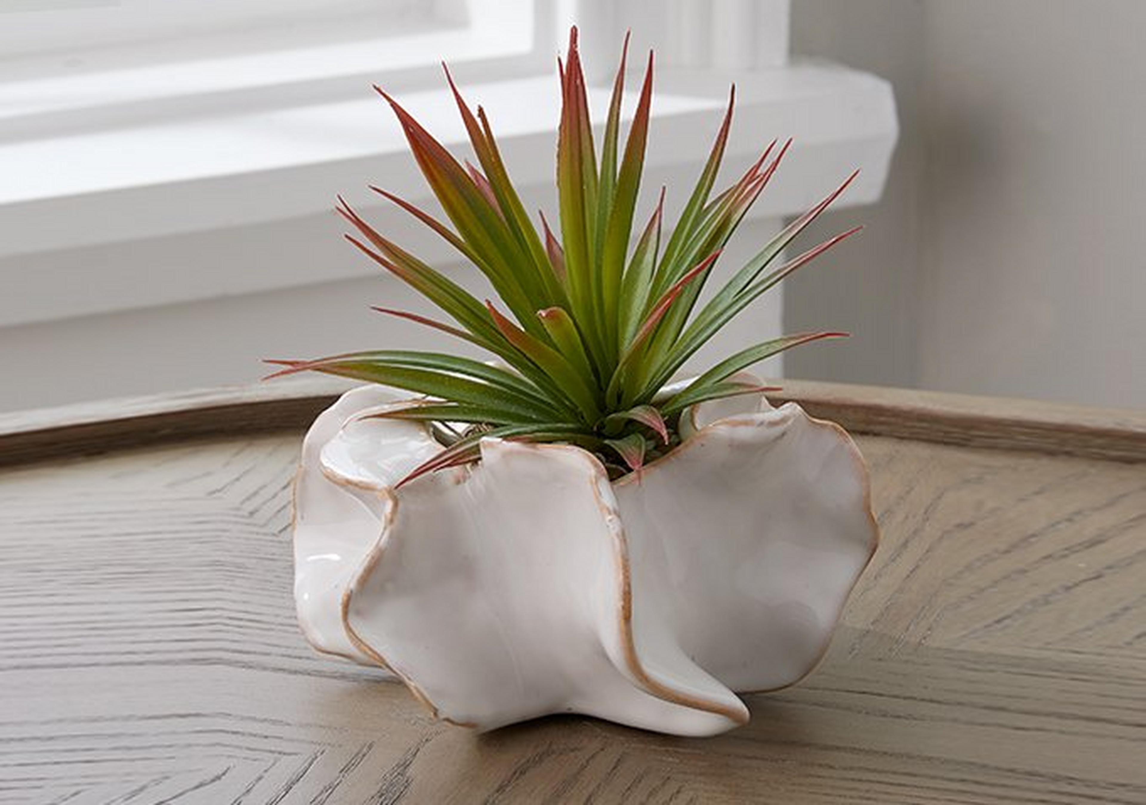 White Ceramic Urchin Vase