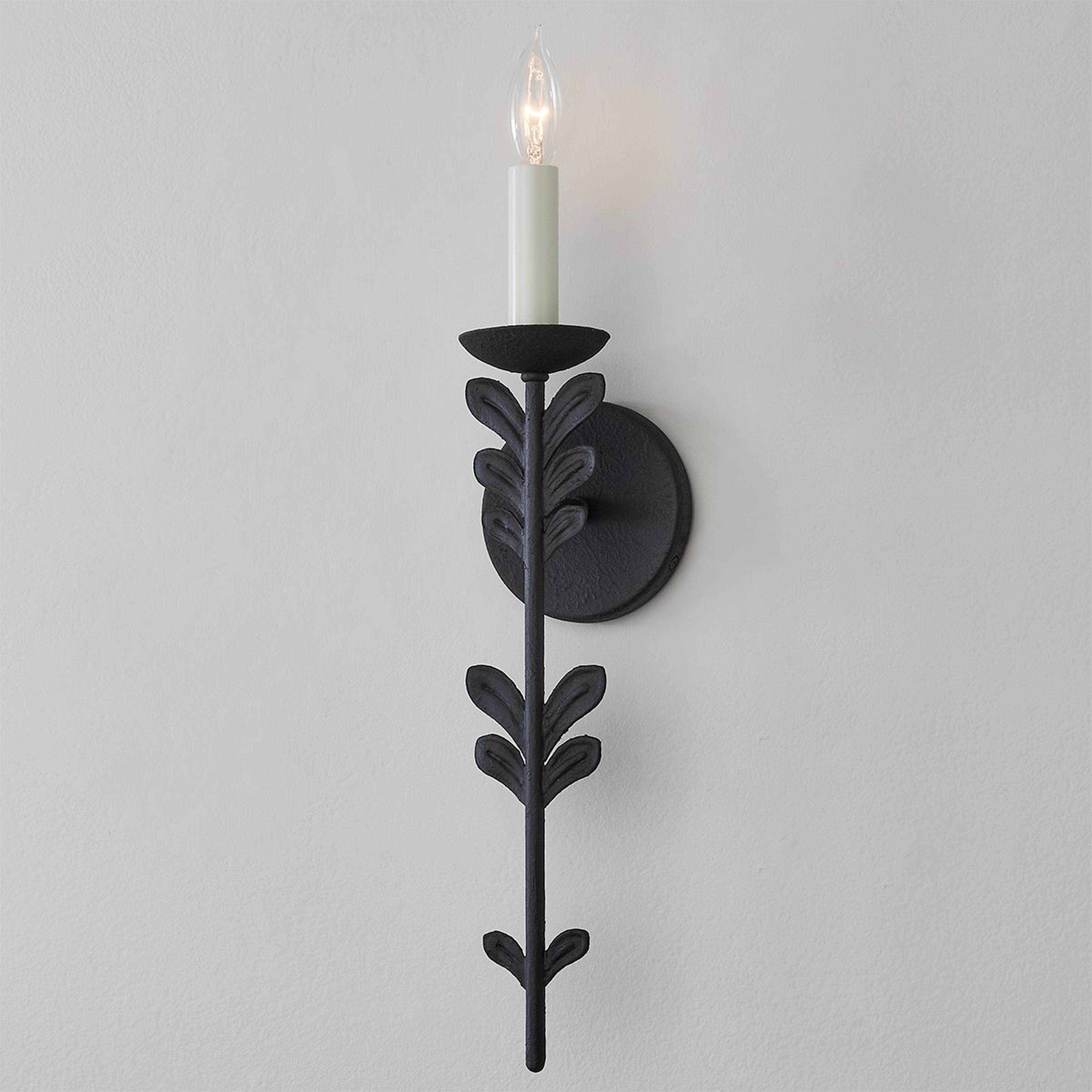 A Zenoba Sconce with Black Iron  color
