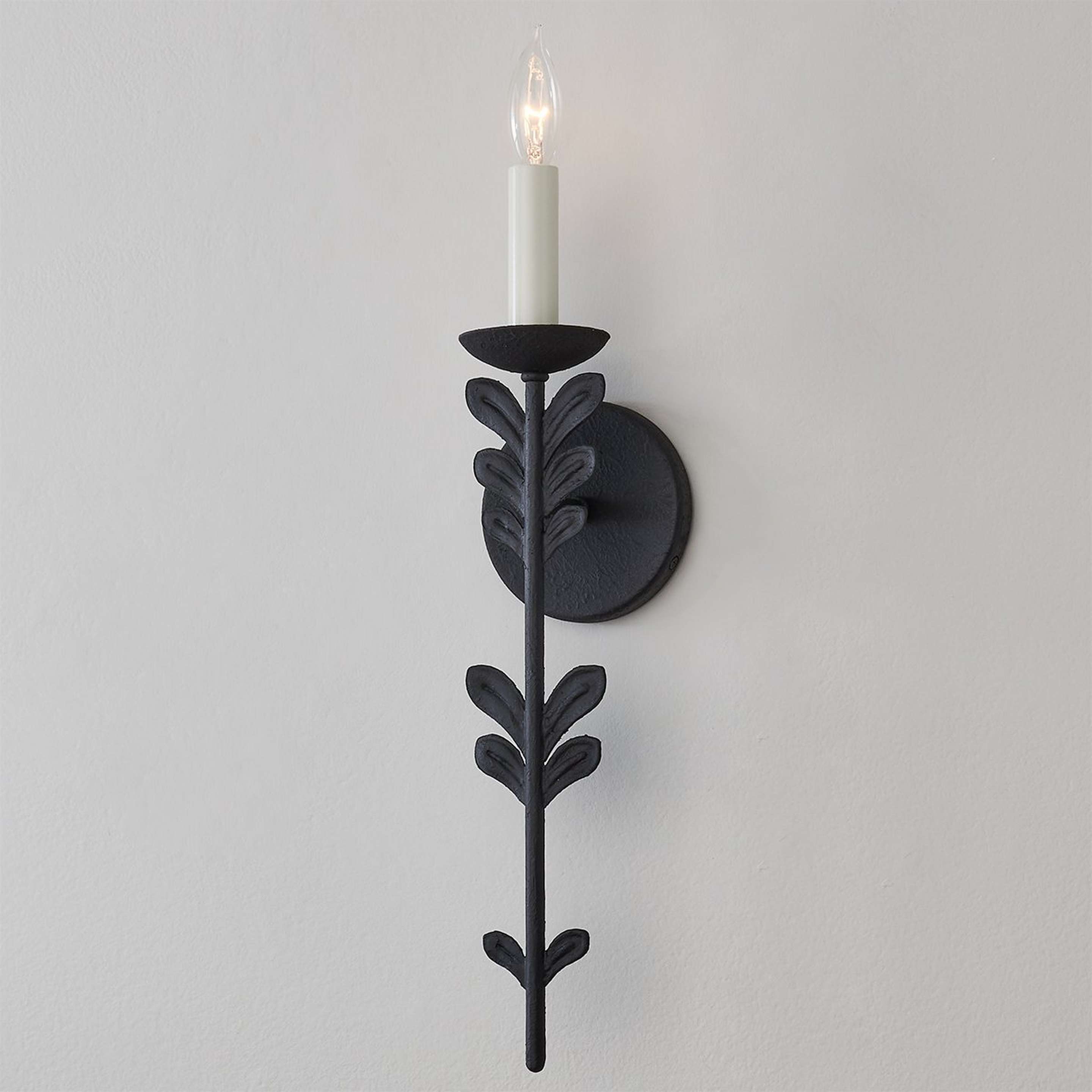 A Zenoba Sconce with Black Iron color