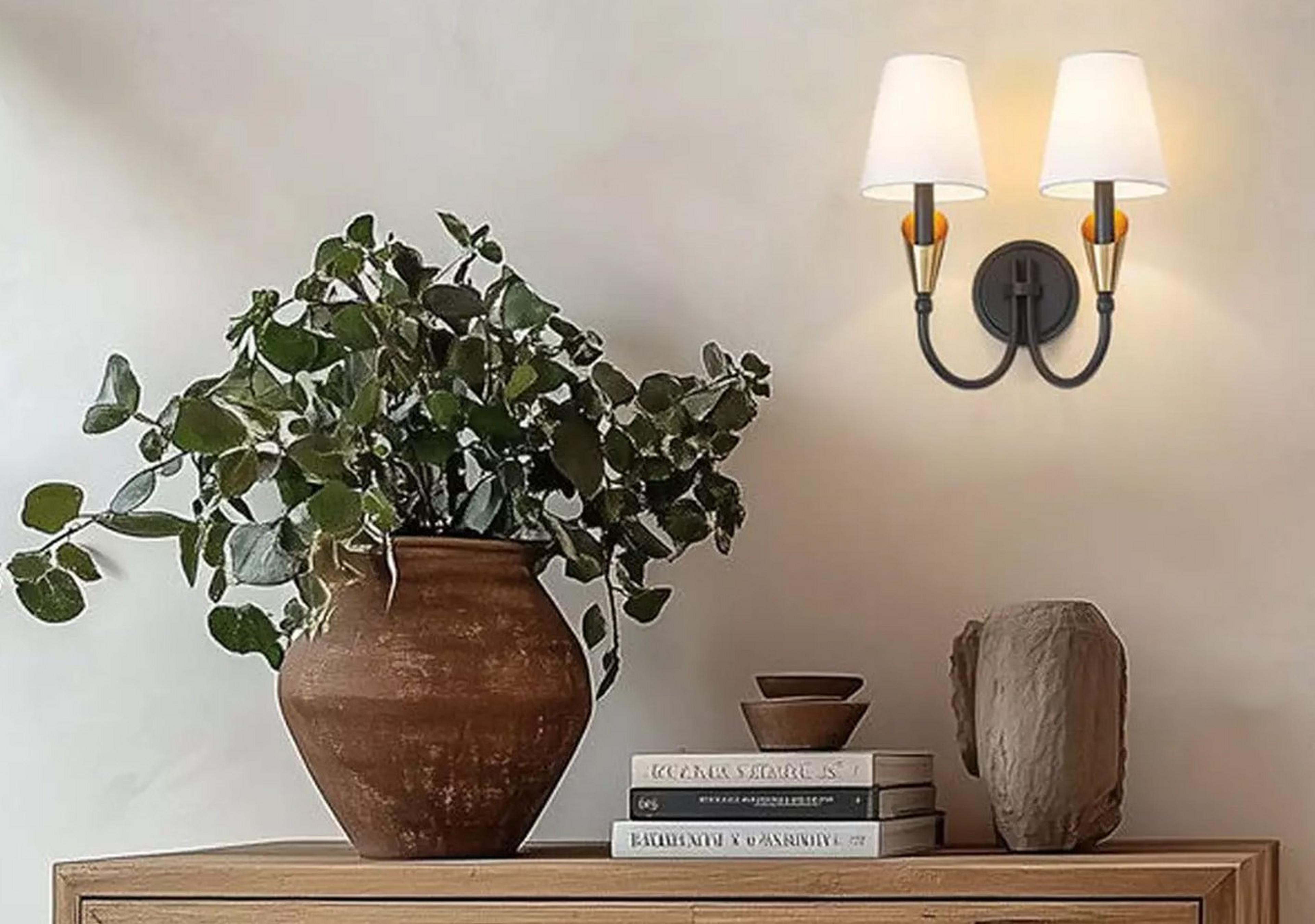 Matte Black and Gold Callithyia Curved Double Sconce