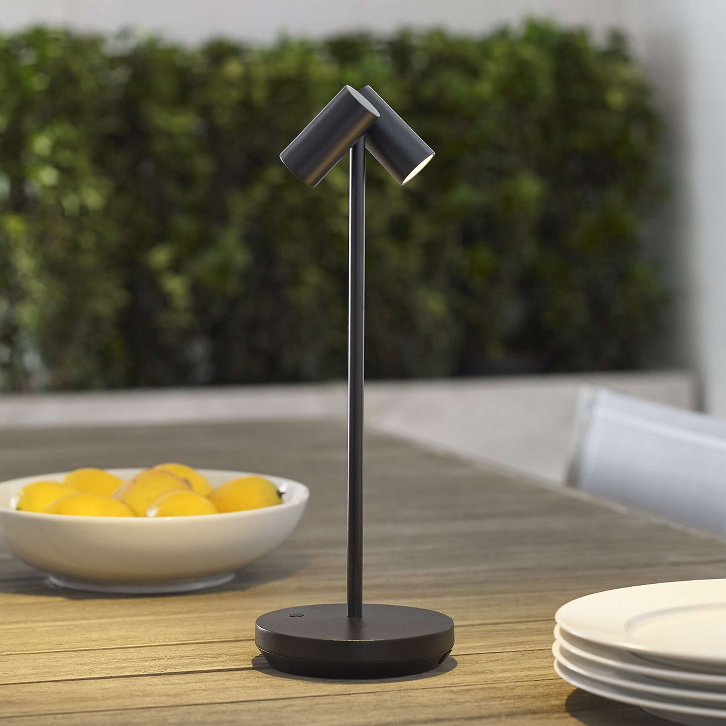 A Thurston Cordless LED Indoor/Outdoor Table Lamp with Black color