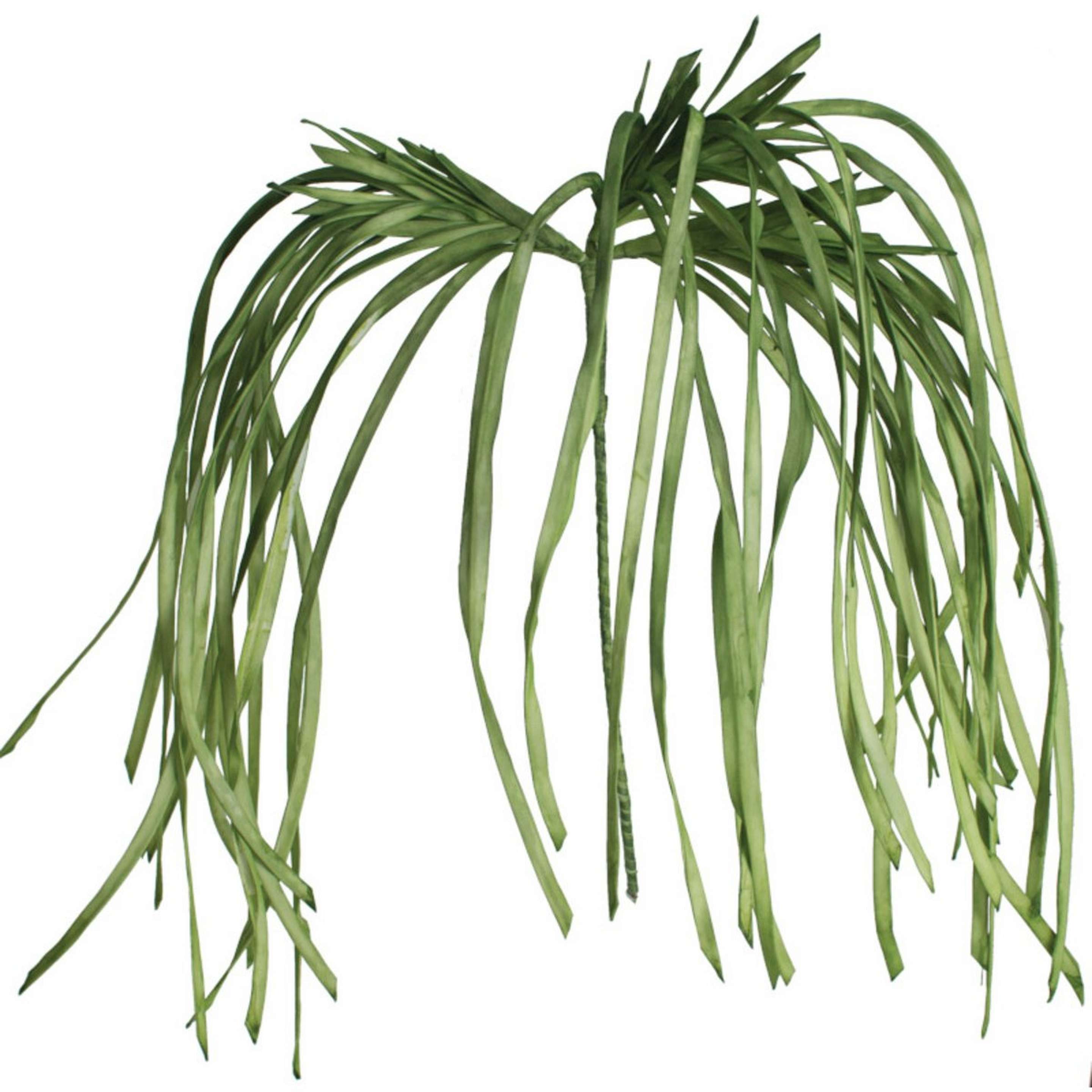 A Faux Botanical Decor I with Green color