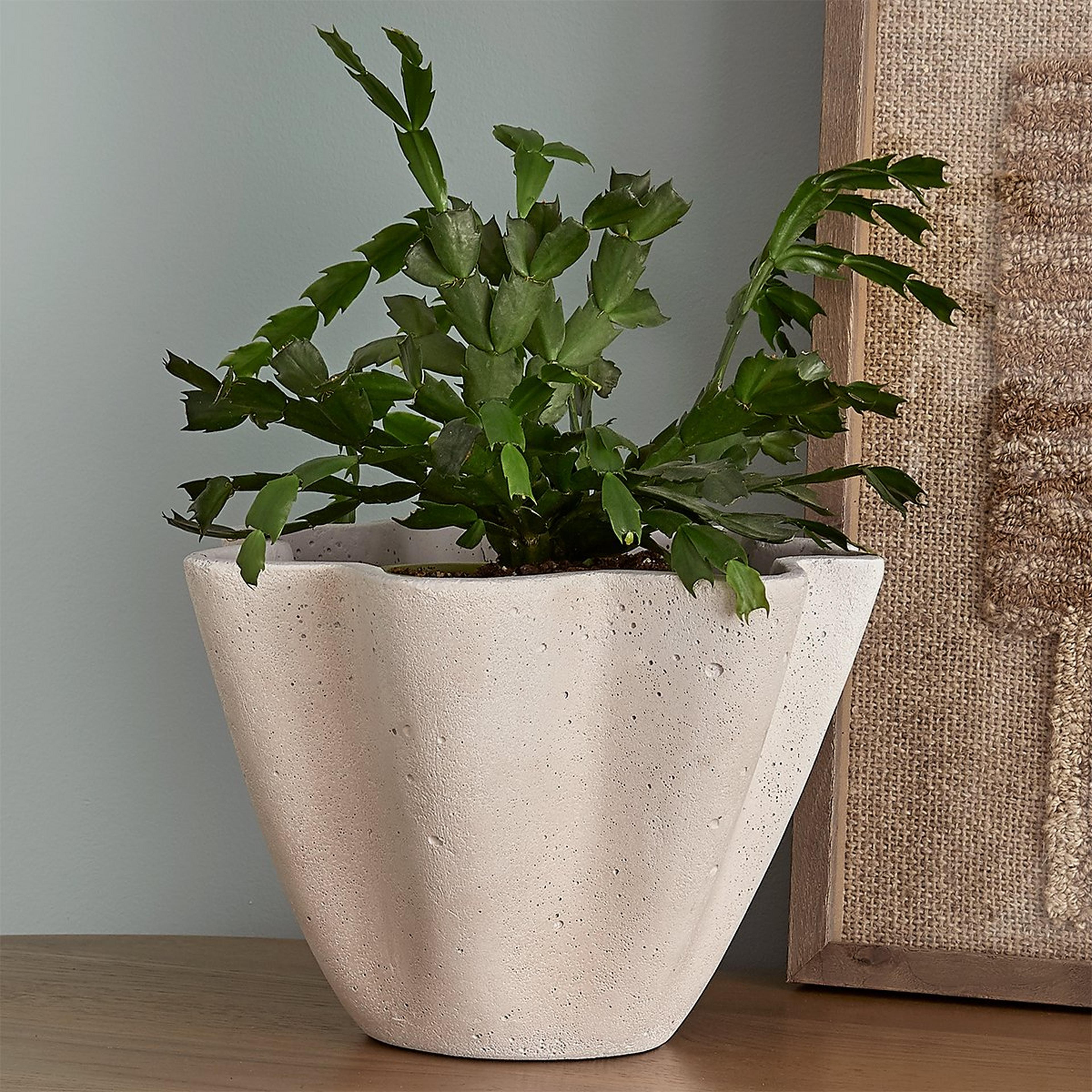 A Etna Planter with undefined color