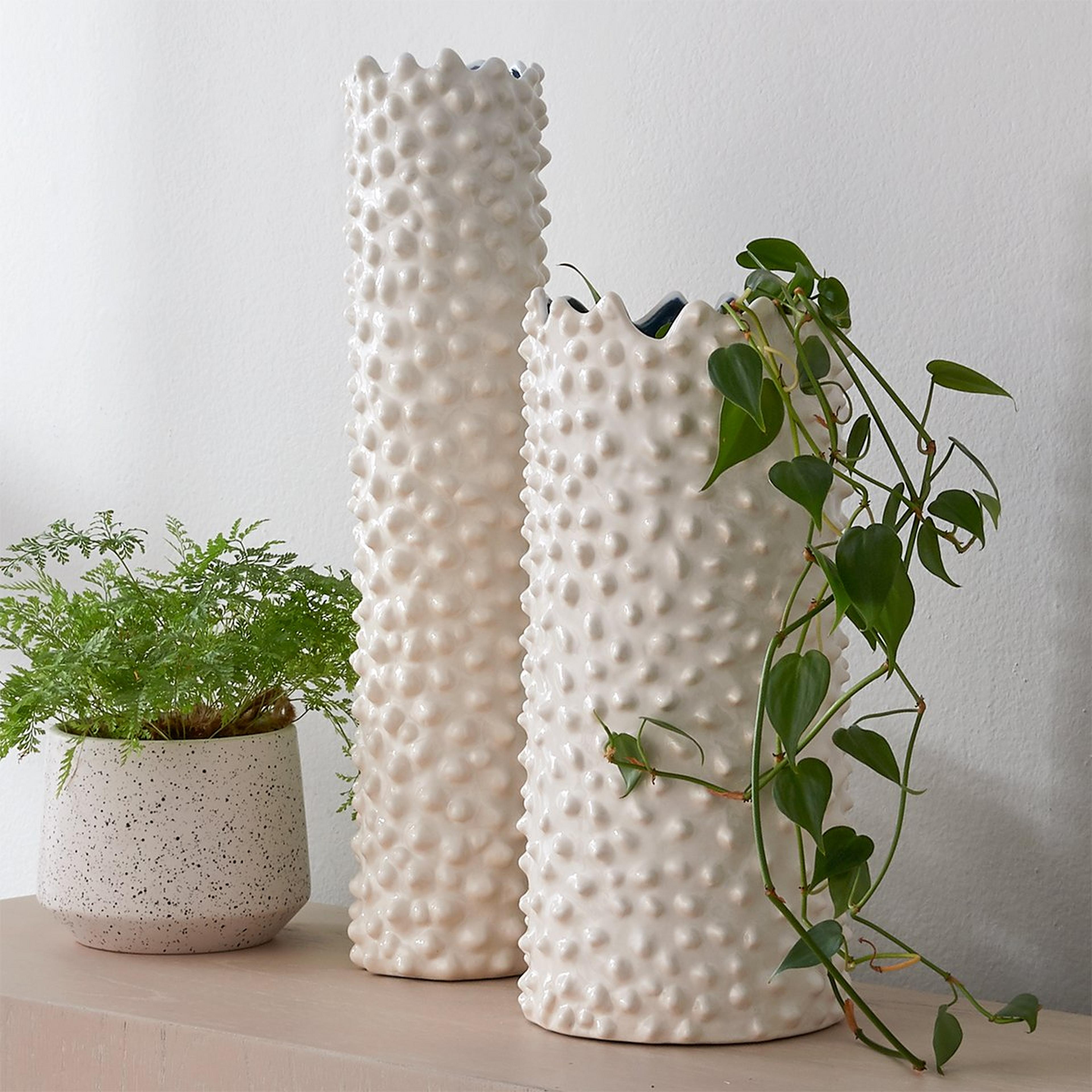 A Jolty Decorative Vases - Set of 2 with White / Blue color