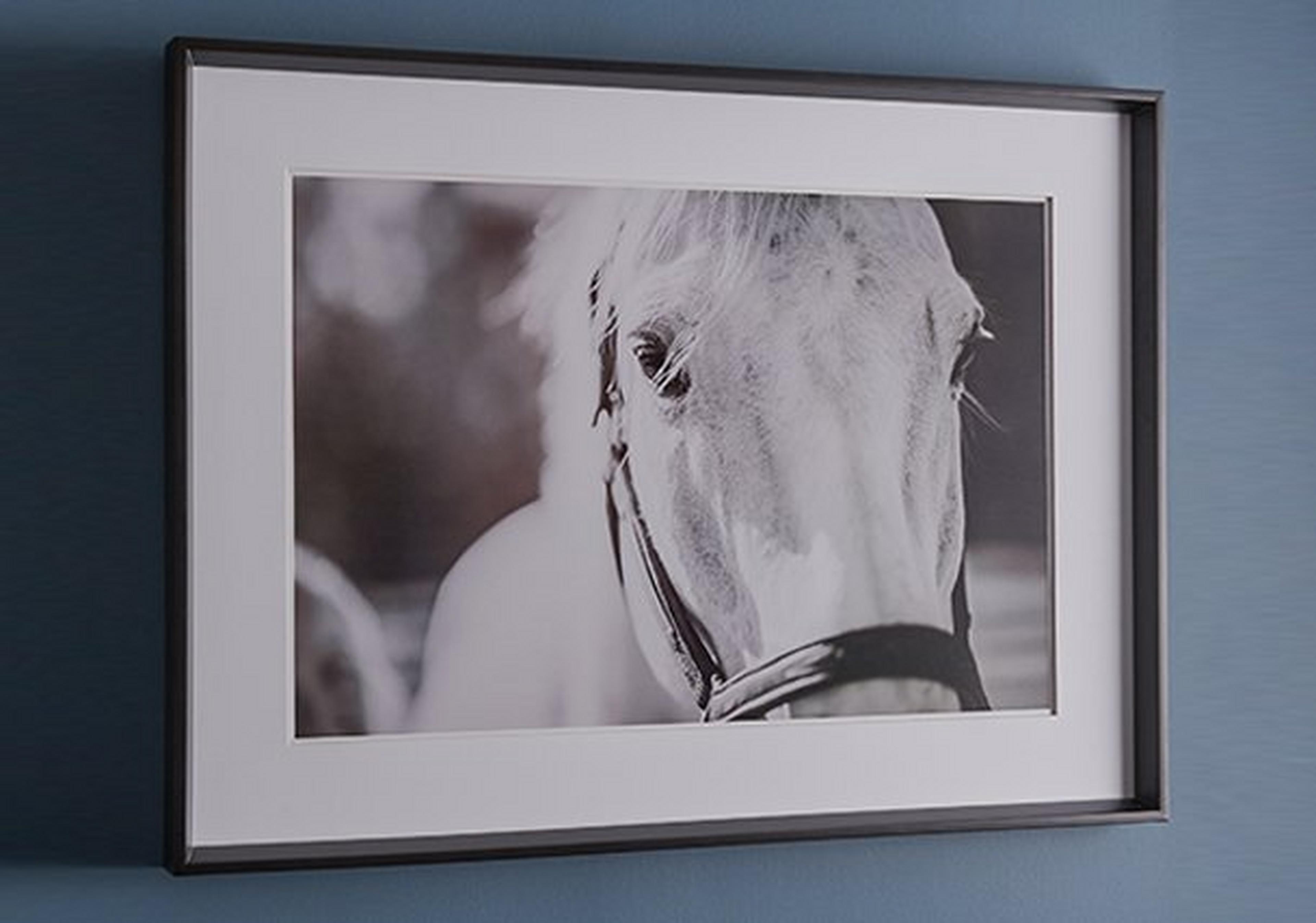 Decorative Accessories & Wall Decor