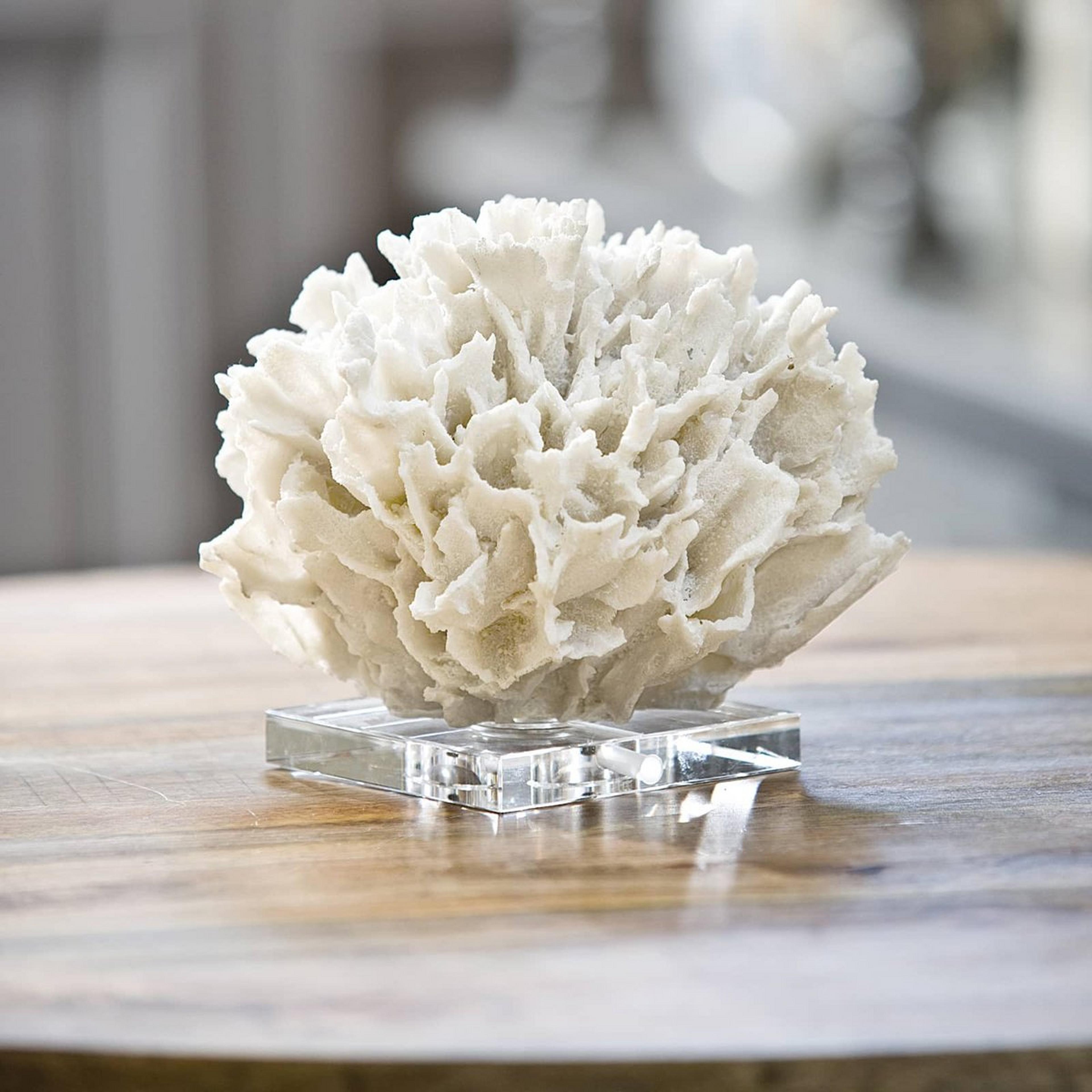Selected product image