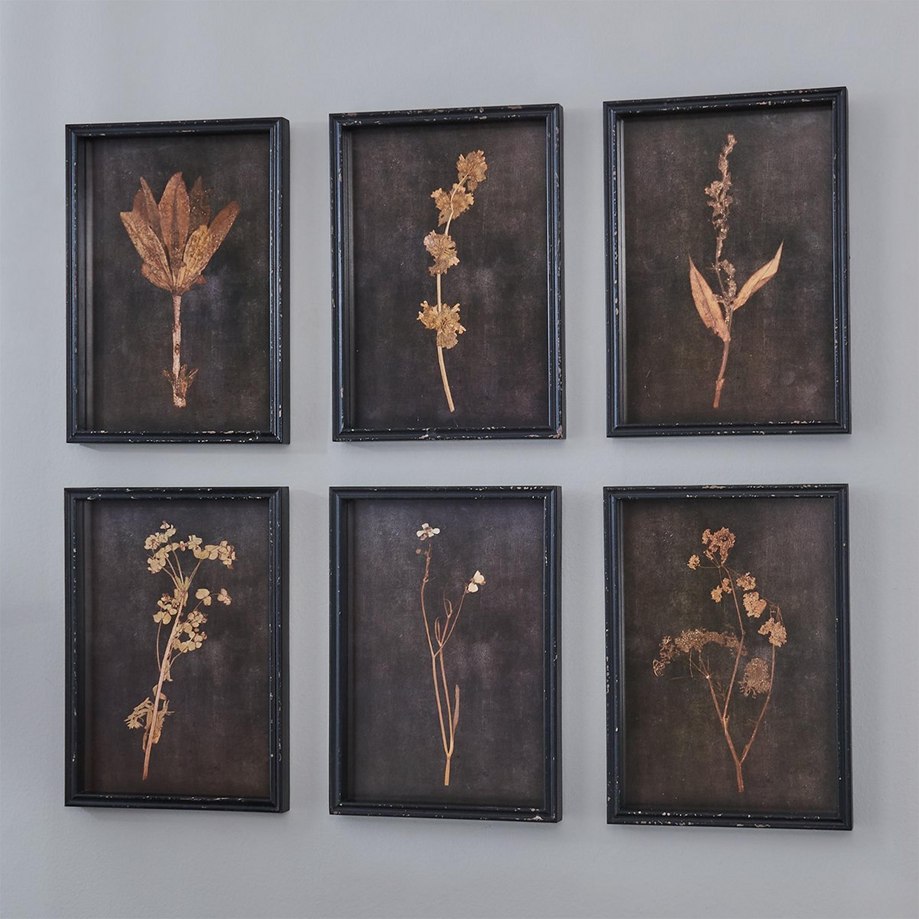 Wall Decor