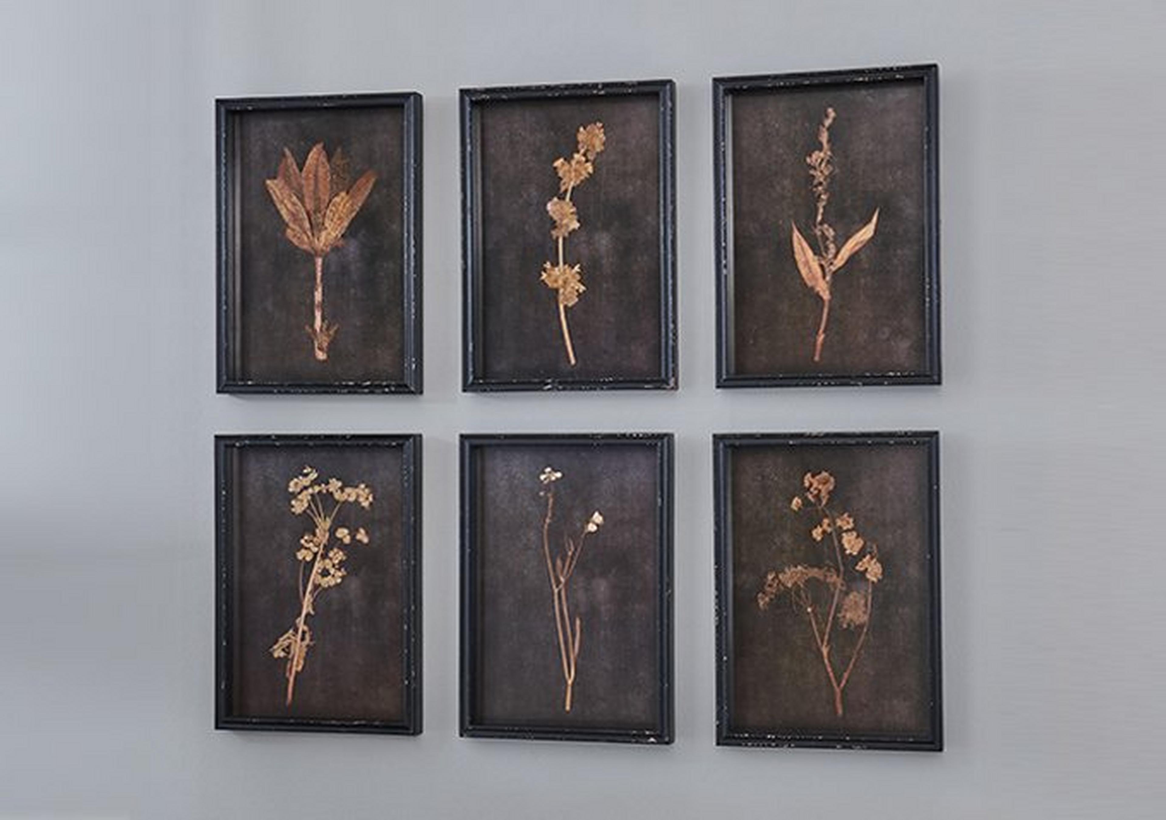 Set of 6 Botanica Noir Prints