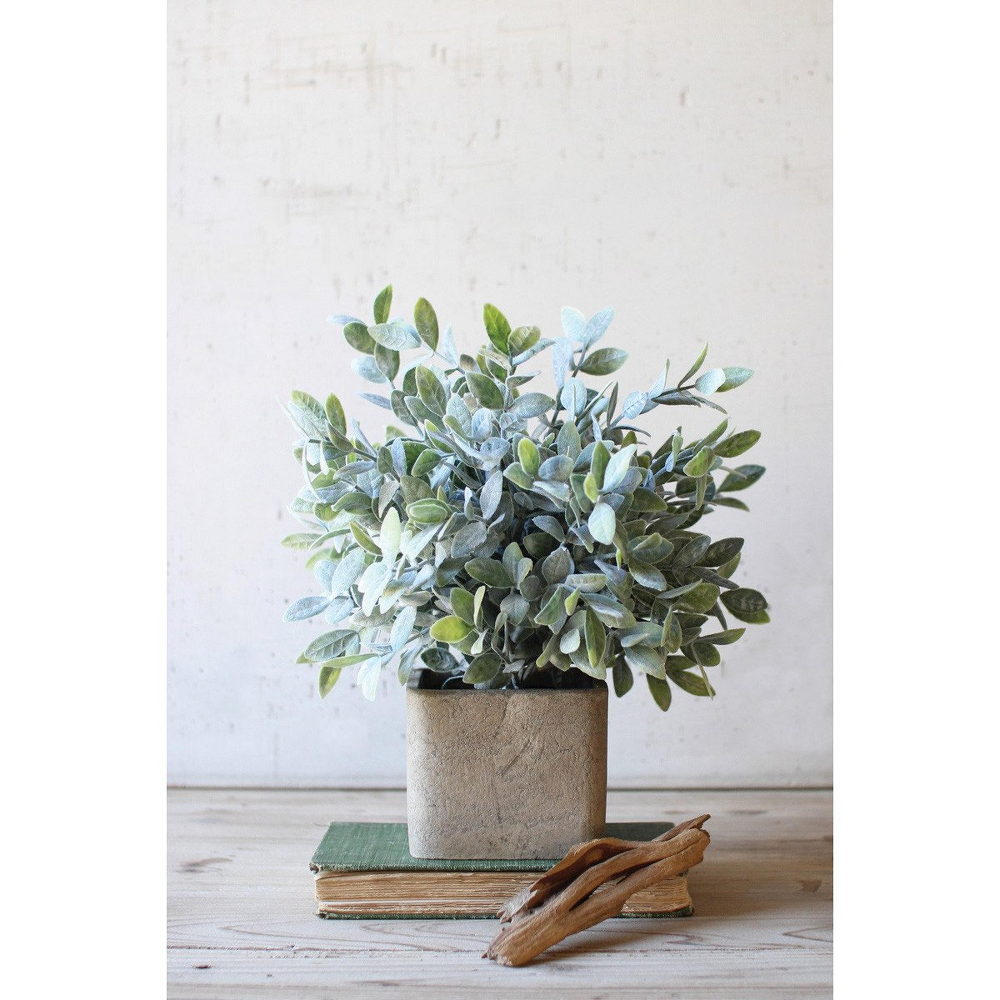 A Sabio Greenery with Green / Gray Concrete color