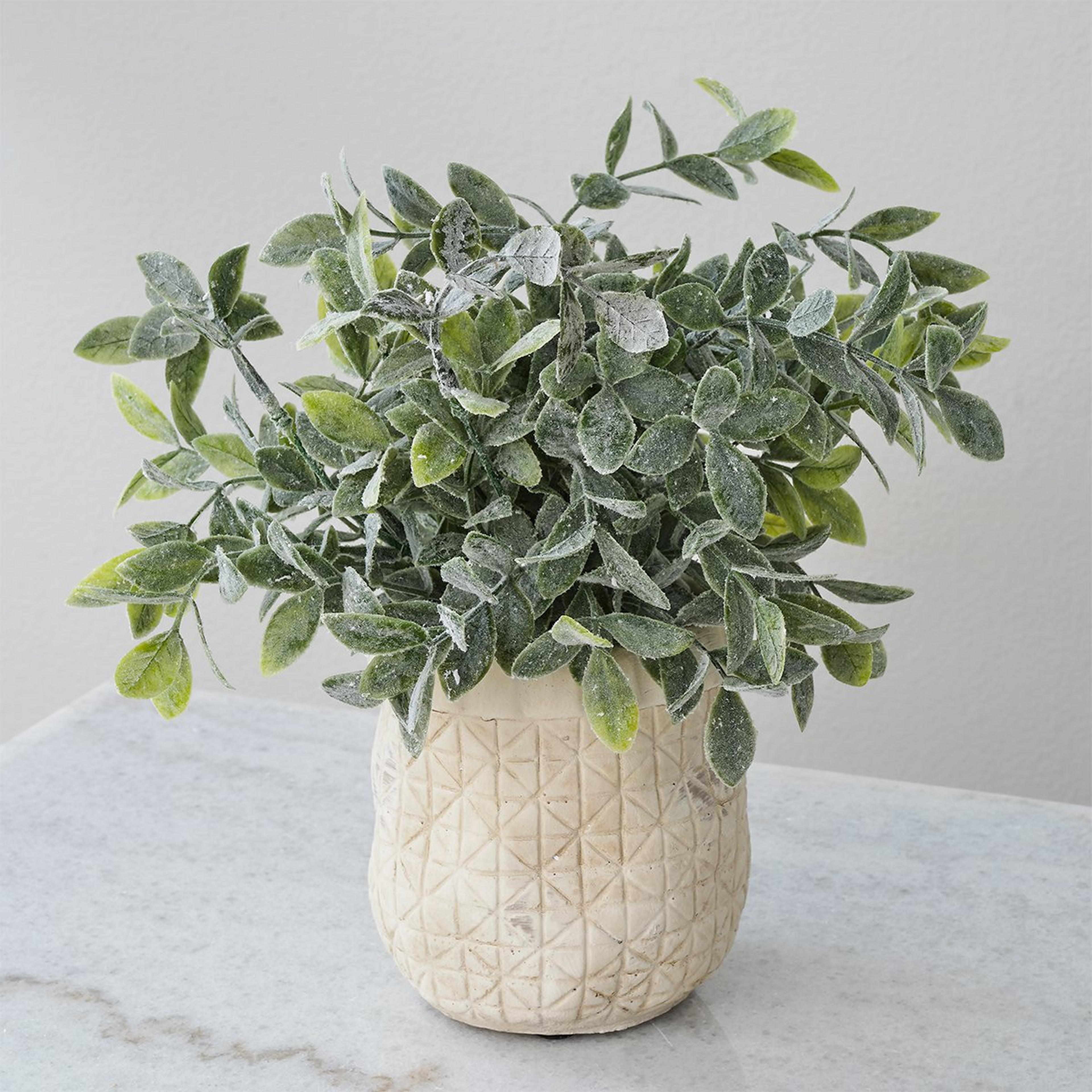 Selected product image