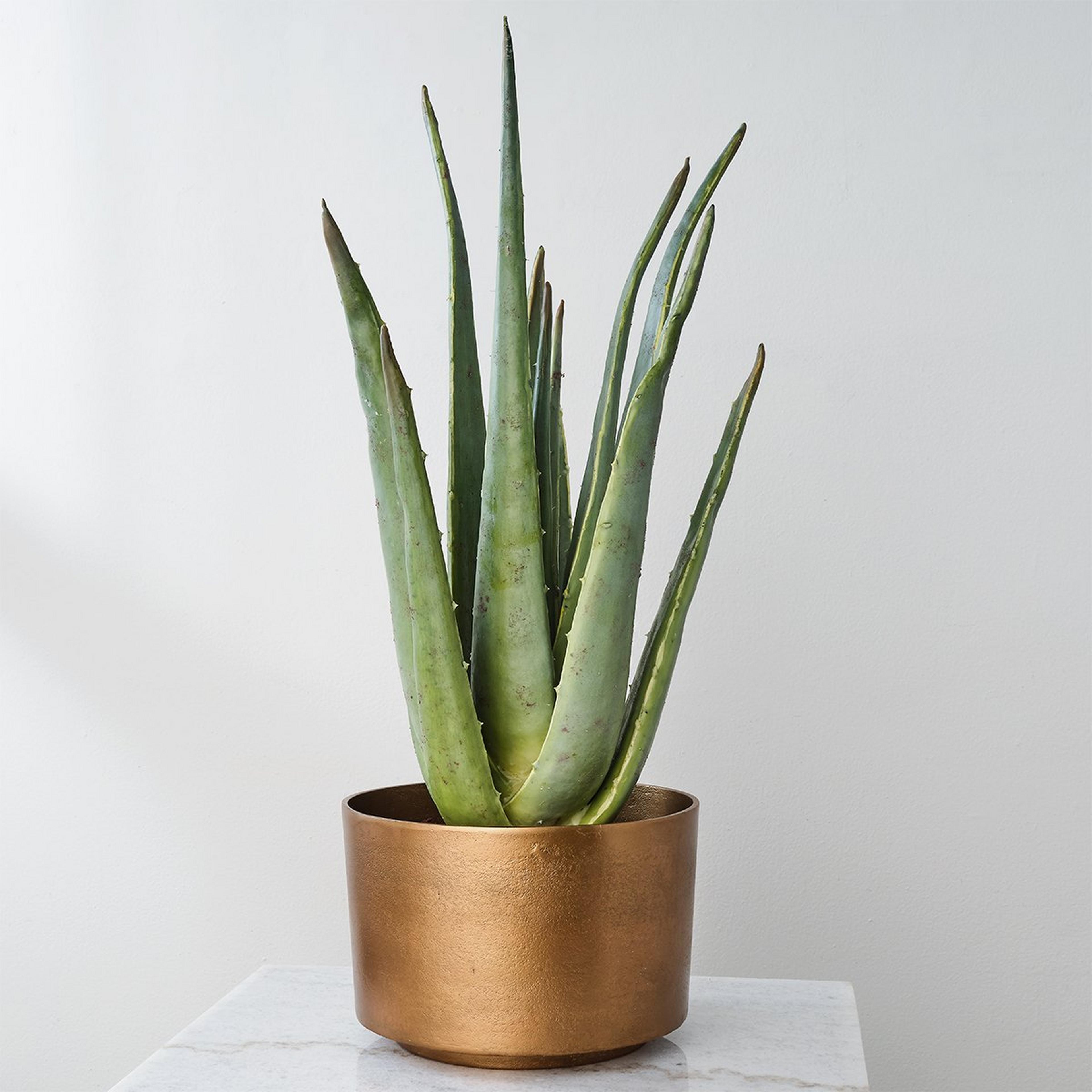 A Aru Faux Aloe Planter with Green / Antique Brass / Black  color
