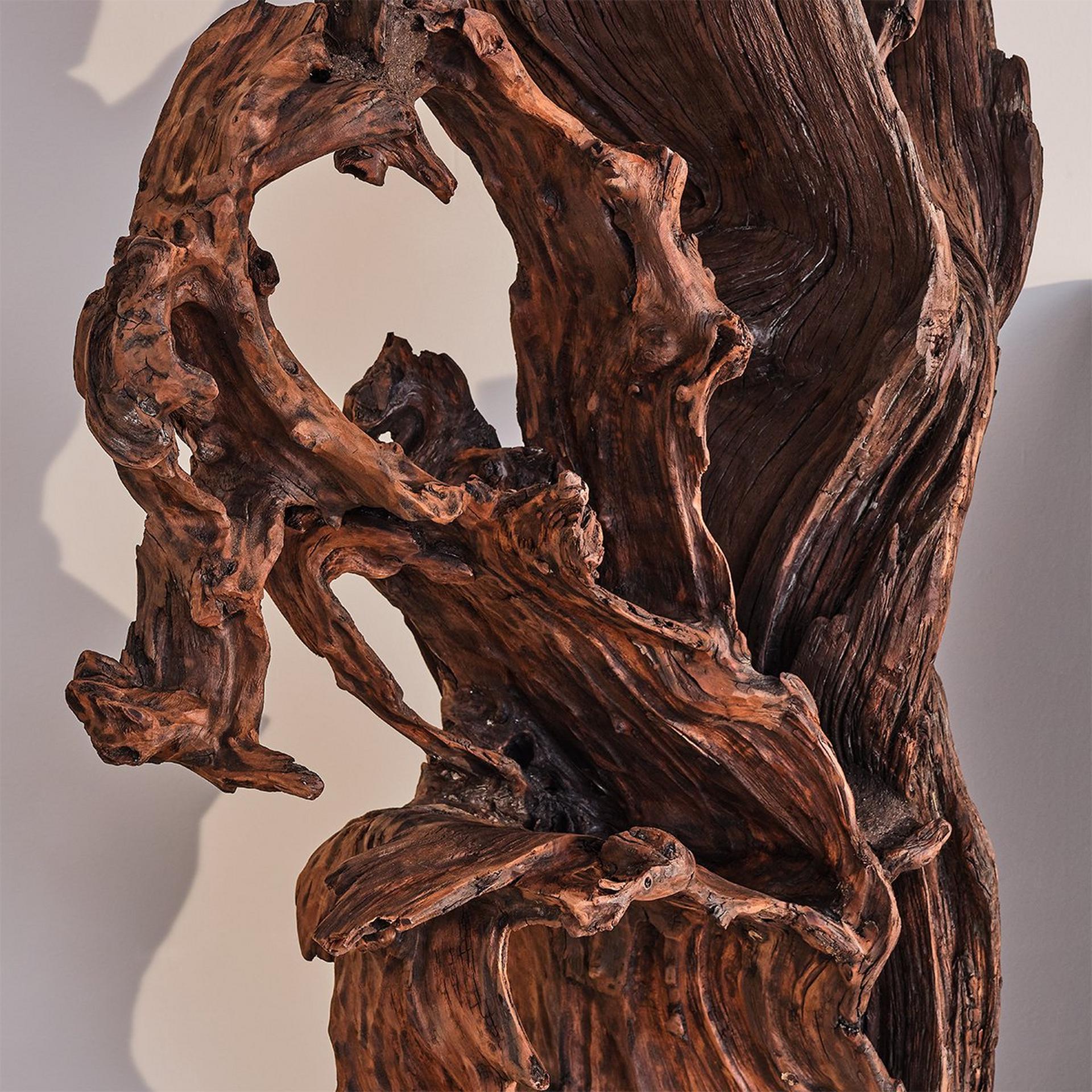 Shizen Natural Scuplture | Shades of Light