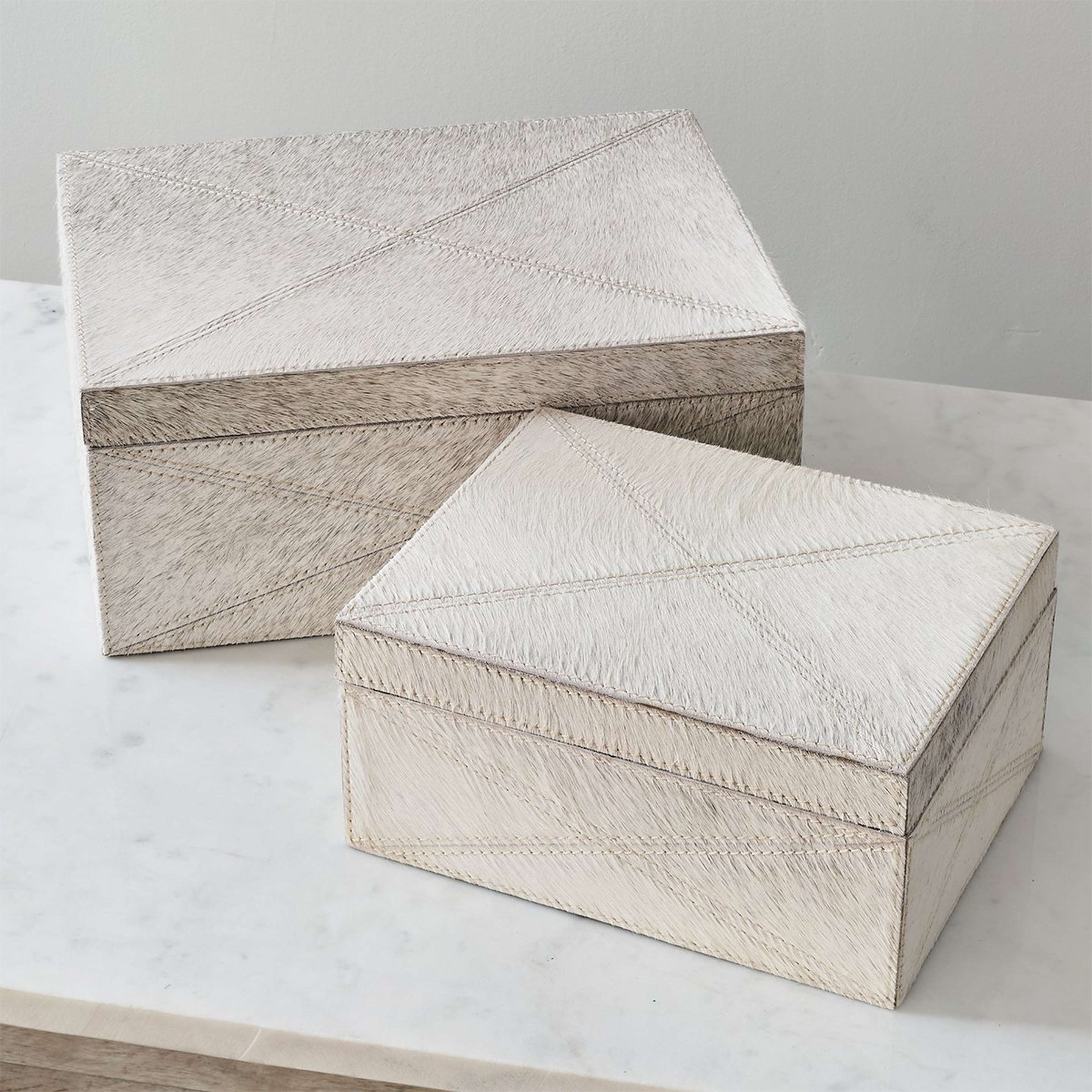 A Segovia Boxes - Set of 2 with Gray Hair on Hide color