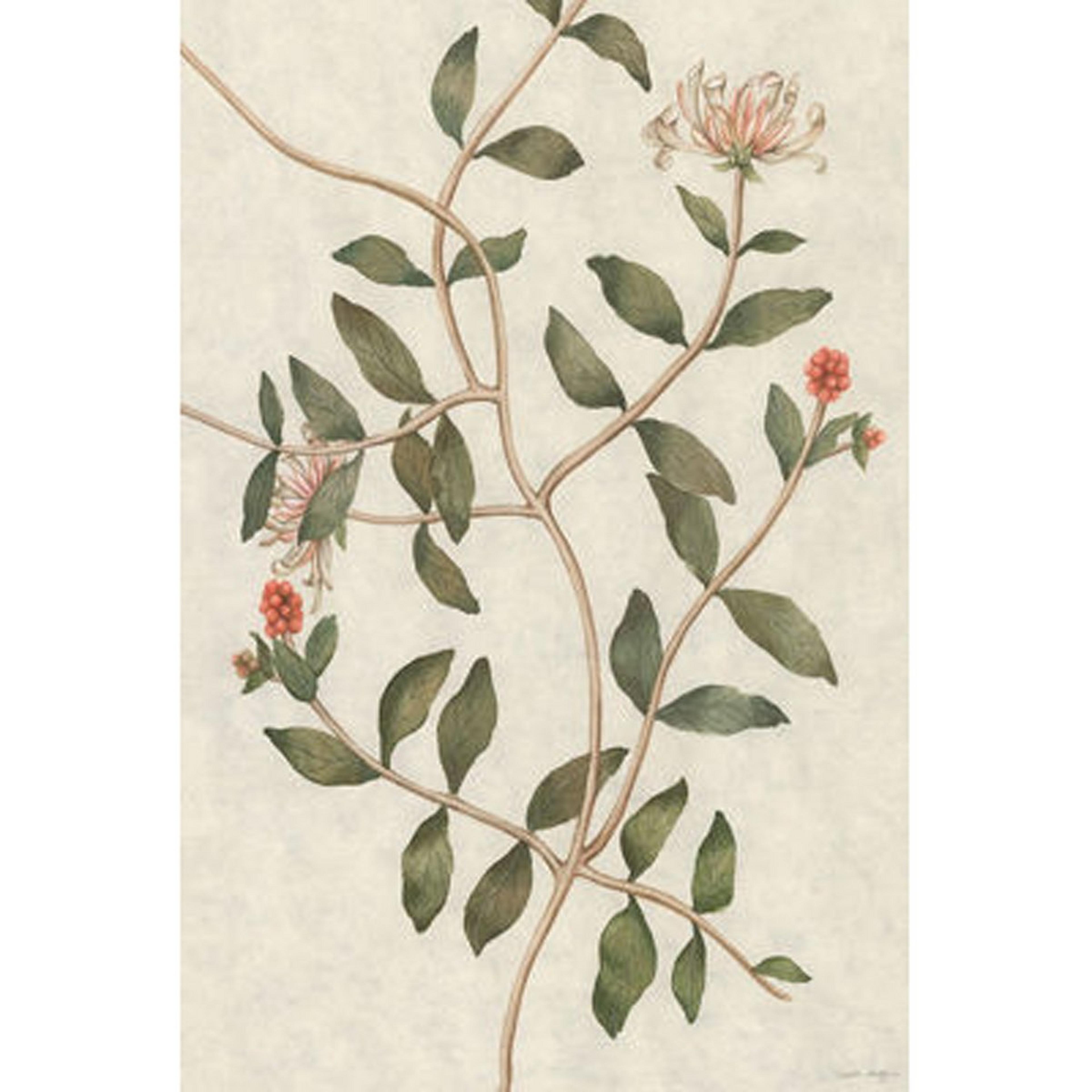 A Botanical Branches Wall Art with undefined color