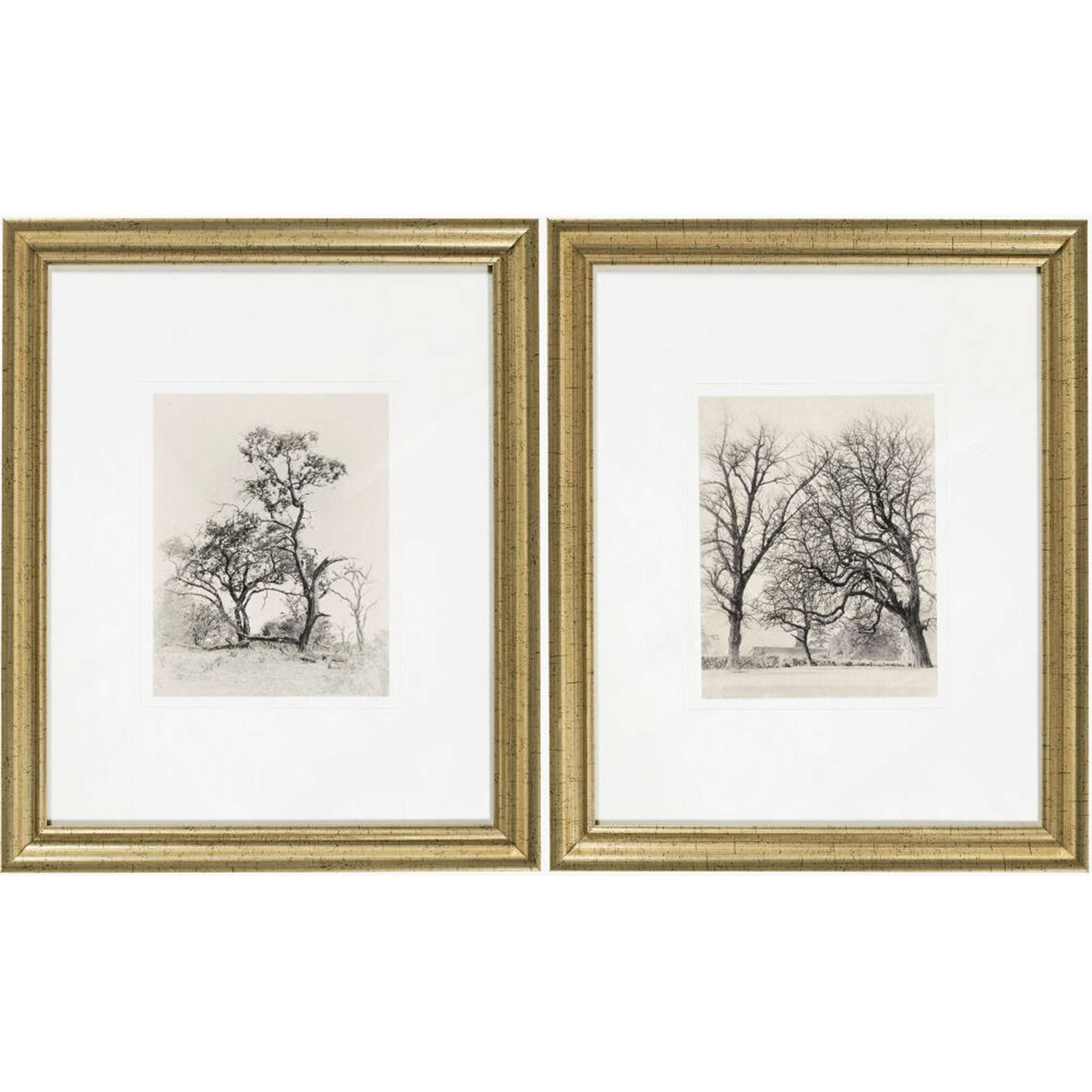 A Rolling Meadow Wall Art with Gray color