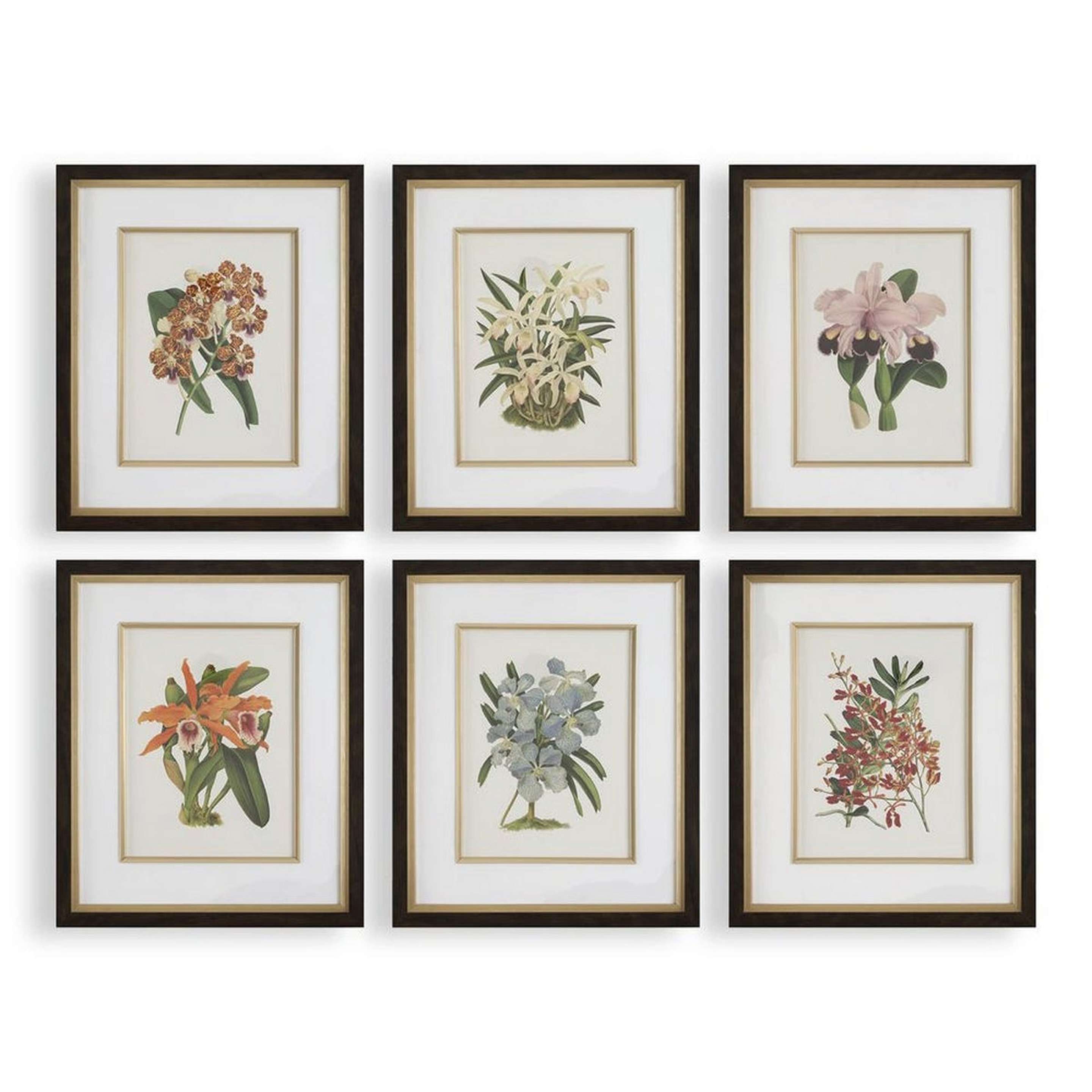 A Field Study Framed Art Prints with Brown / White / Green / Pink color
