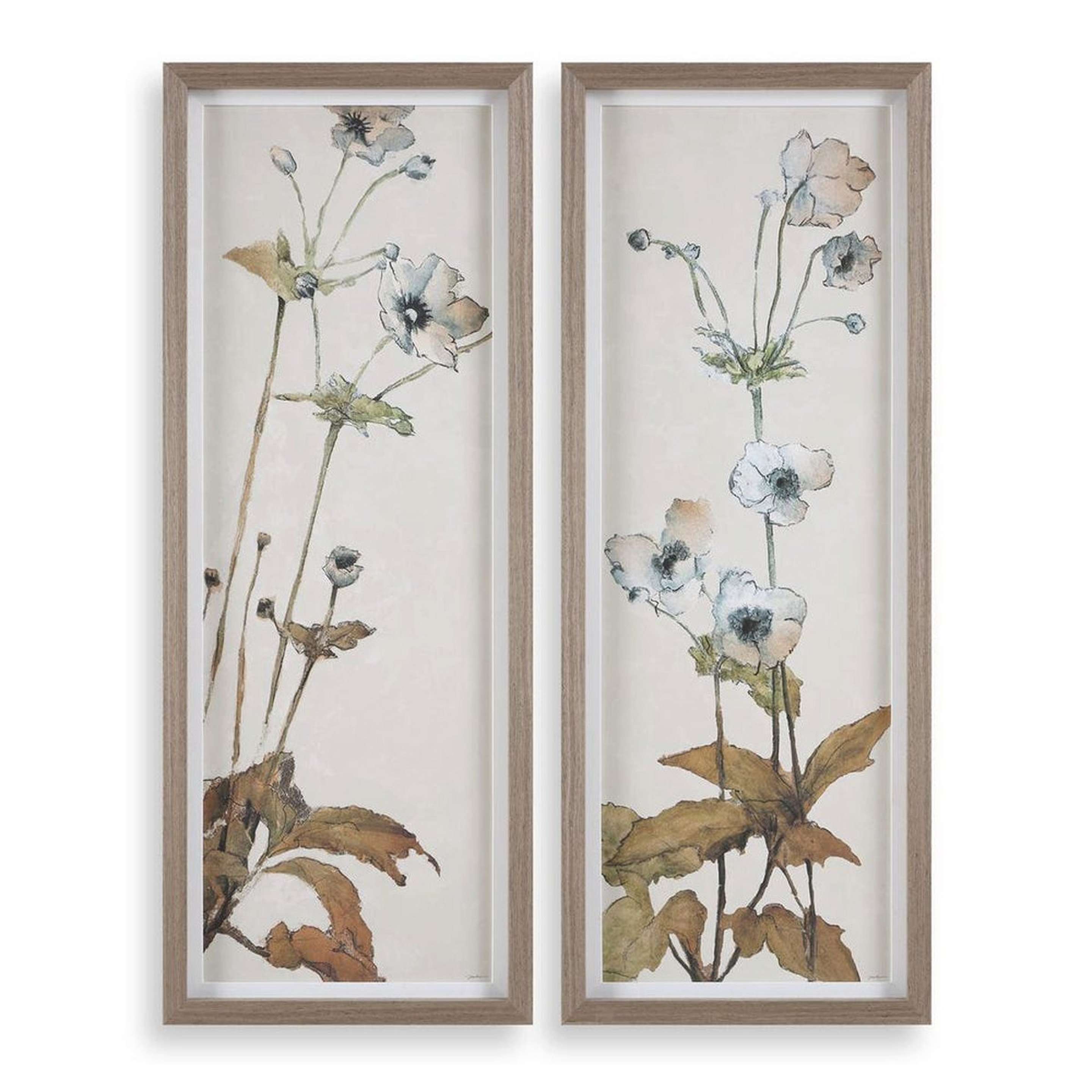 A Garden Prints - Set of 2 with Multicolor color