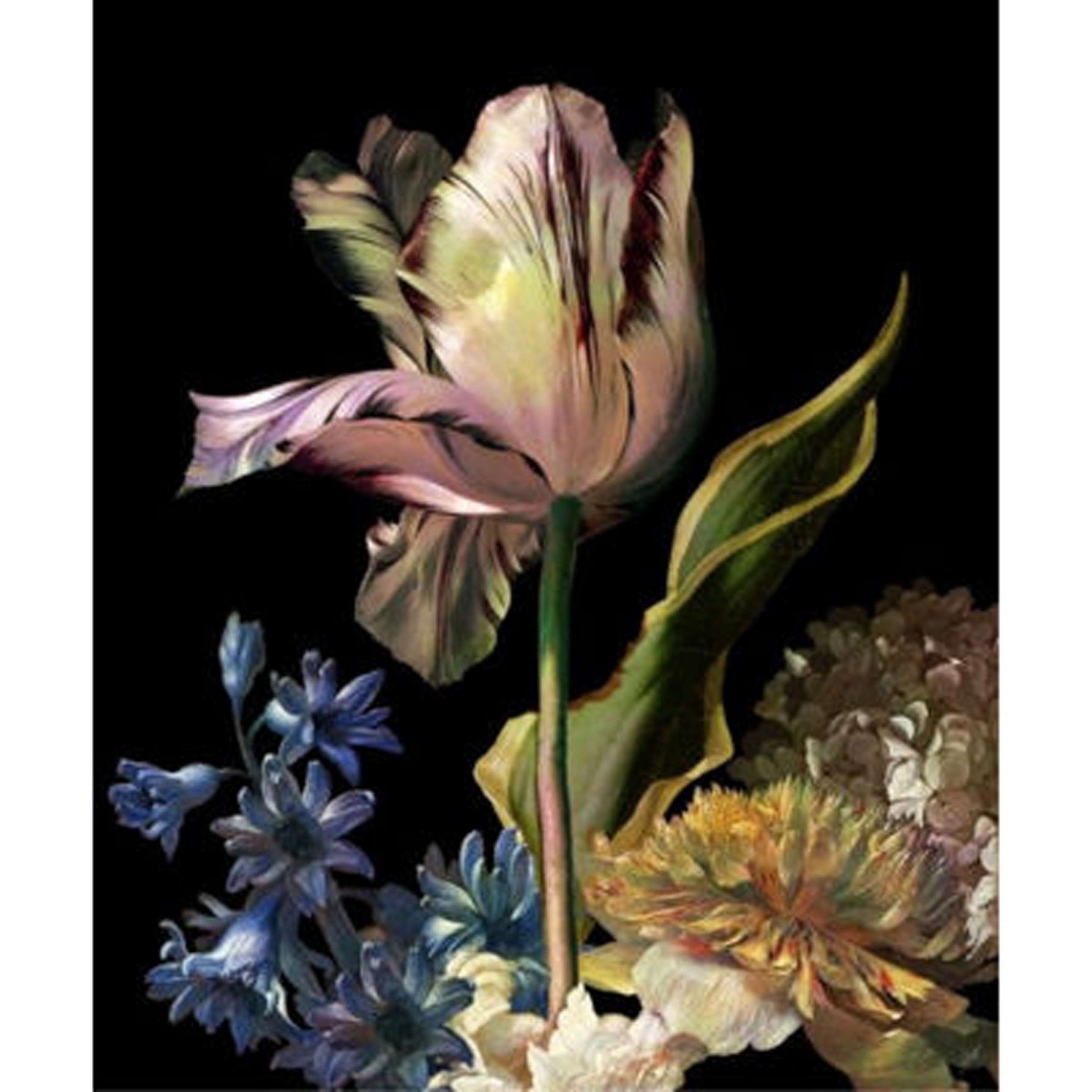 A Nocturnal Bloom Wall Art with Multicolor color