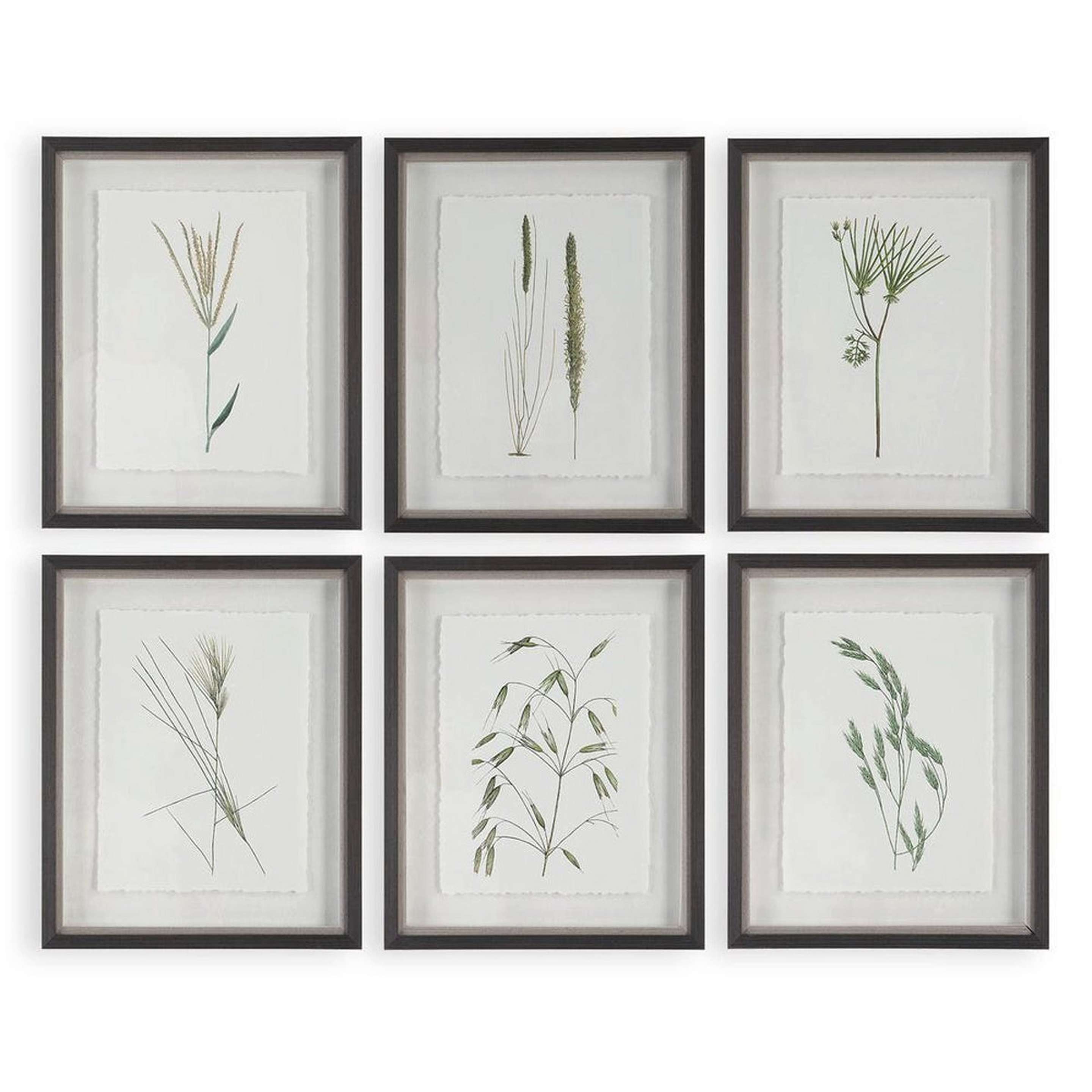 A Prairie Grass Wall Decor - Set of 6 with Multicolor / Green / White / Gray / Dark Wood color