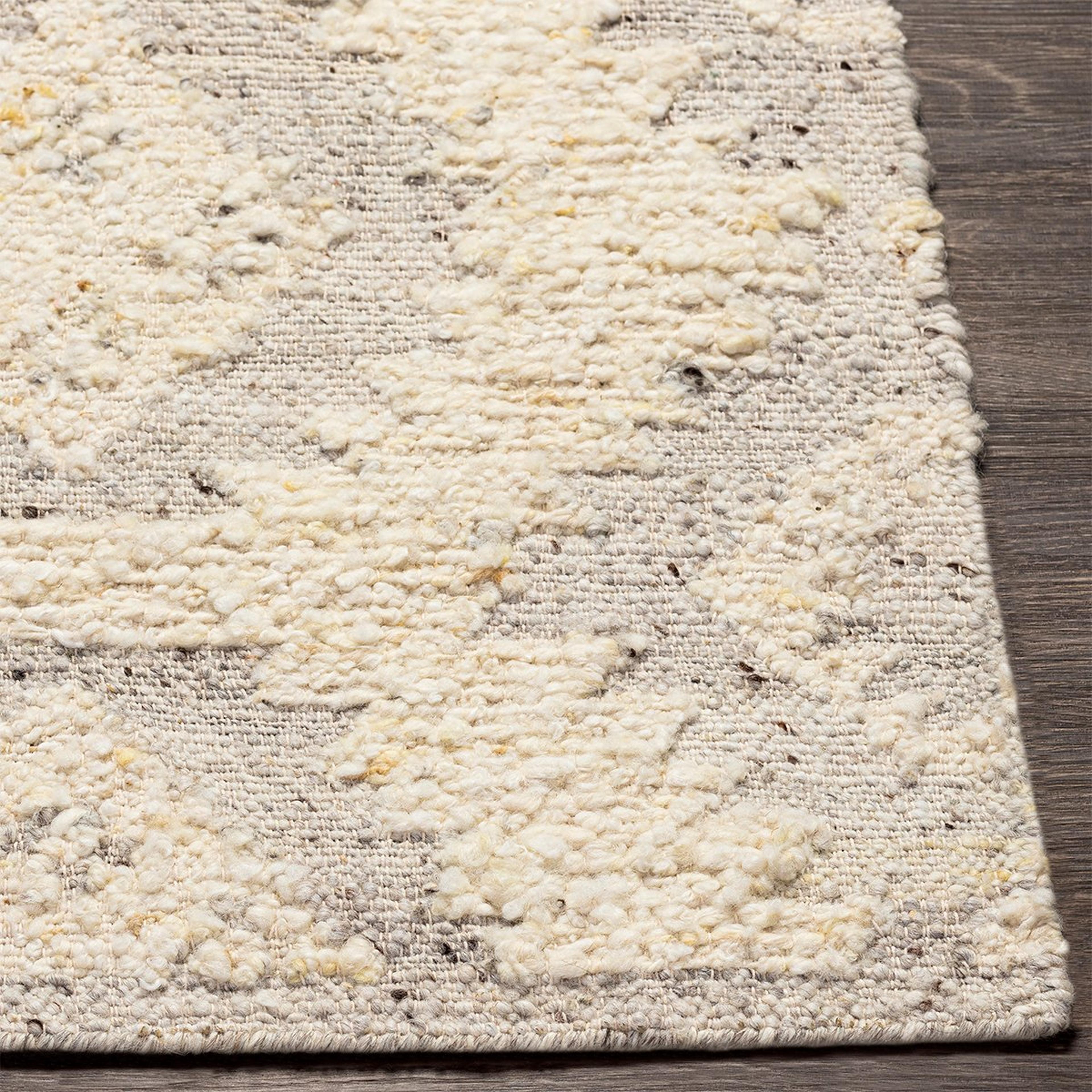 A Adaba Handwoven Rug with Cream / Gray / Tan / Charcoal color