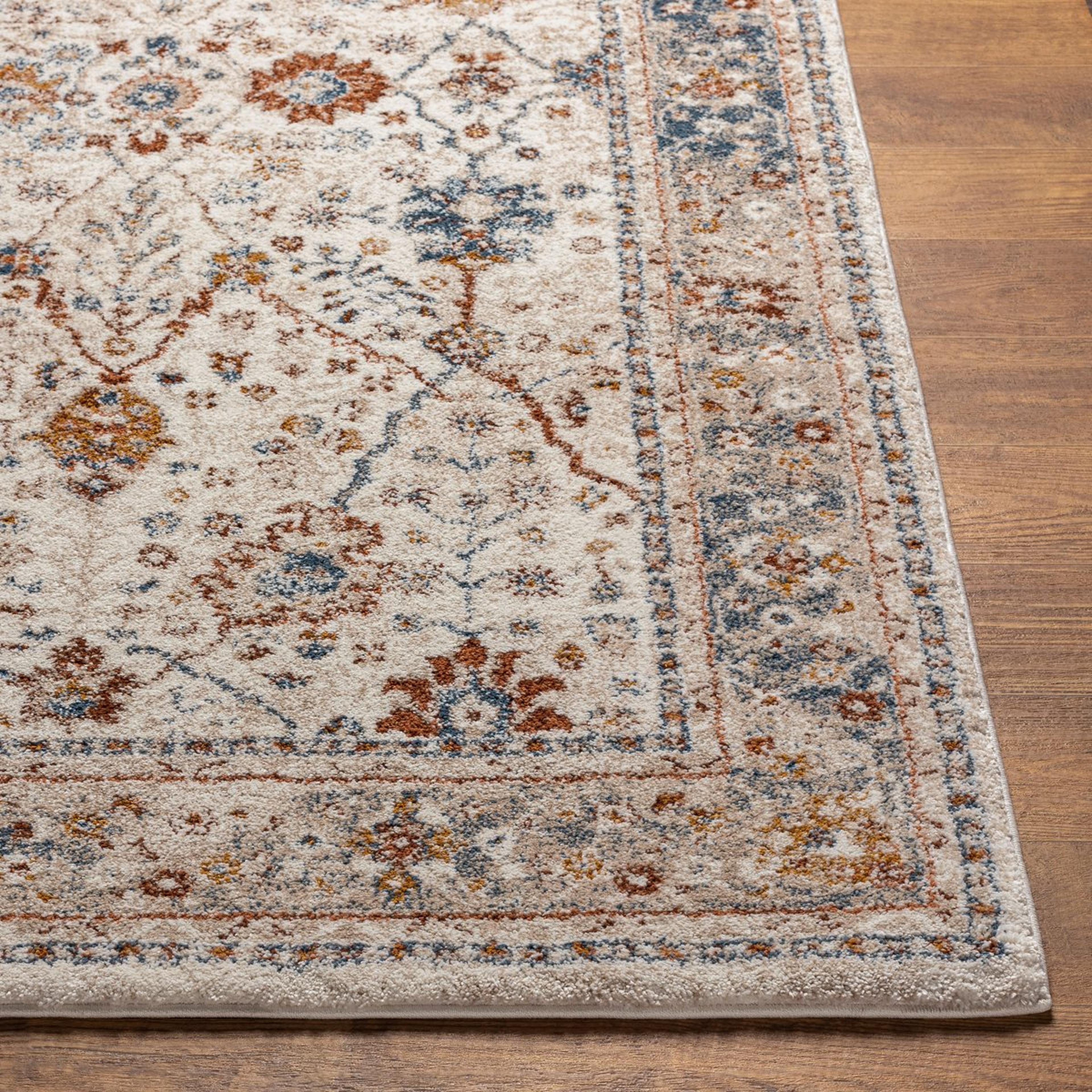 A Abantu Rug with Blue / Multi / Cream / Gray / Tan / Mustard color