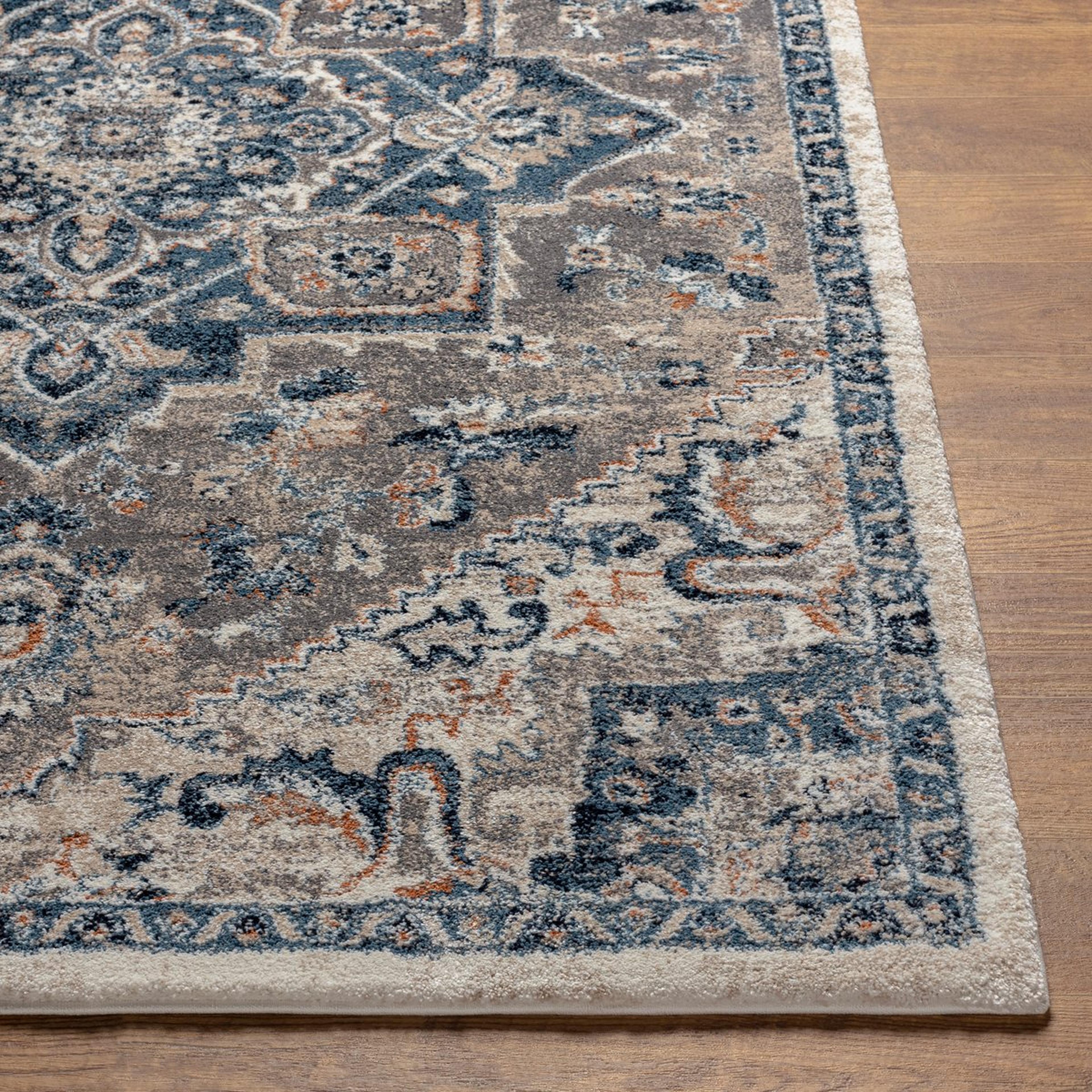 A Metara Rug with Blue / Gray / Ivory / Amber / Taupe color