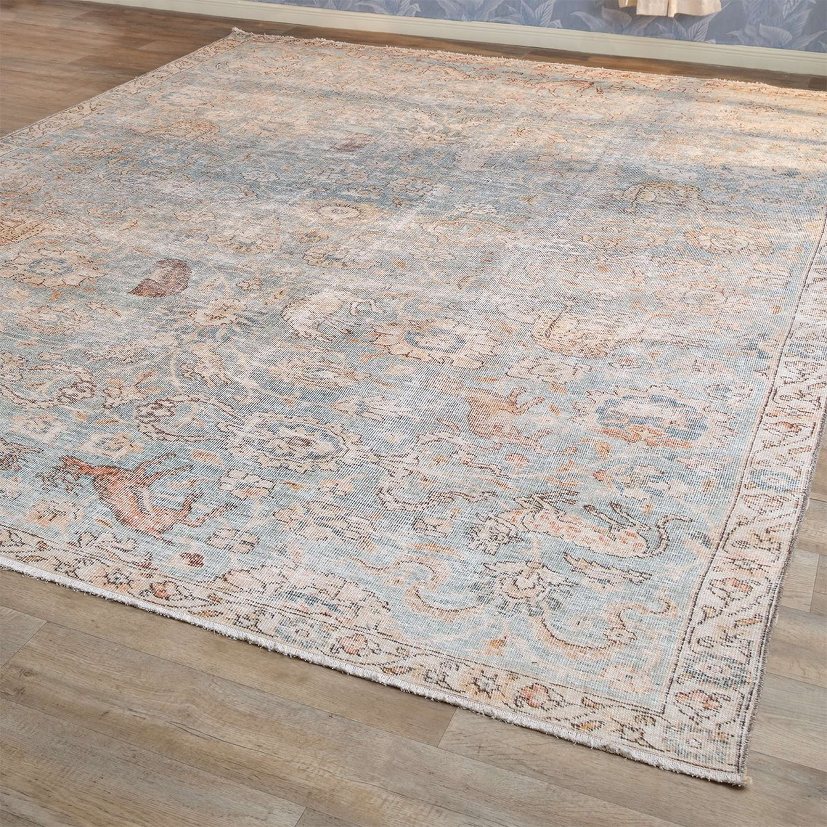A Free Spirit Rug with Soft Blue / Beige / Gray color