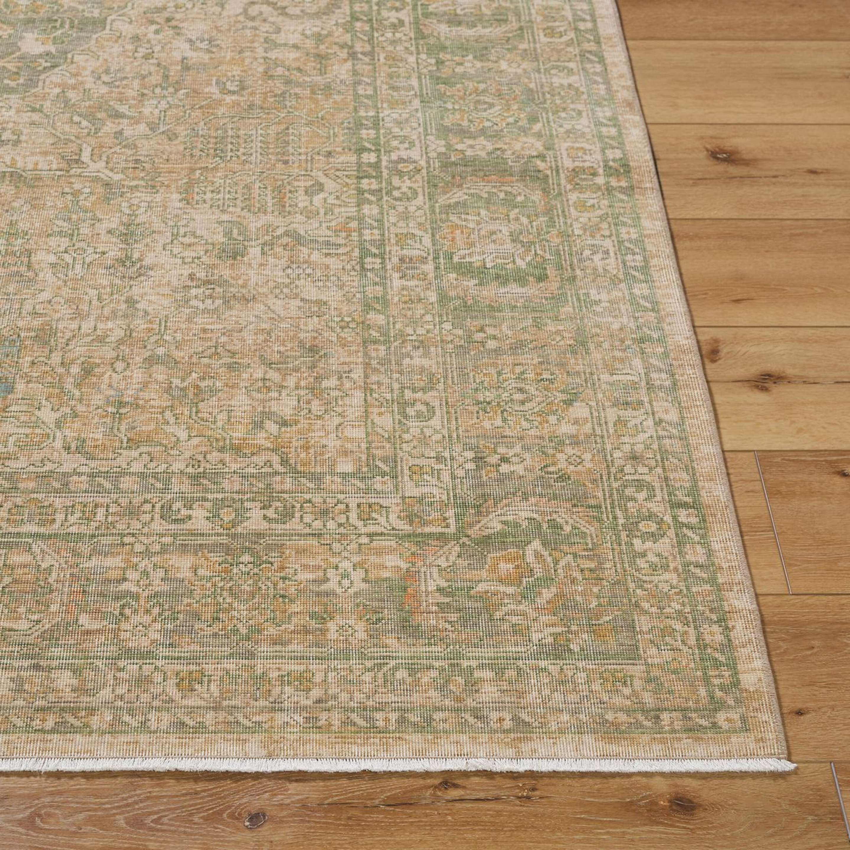 A Seneschal Rug with Olive Green / Beige / Tan color