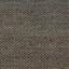 Navy Blue-Gray / Neutrals