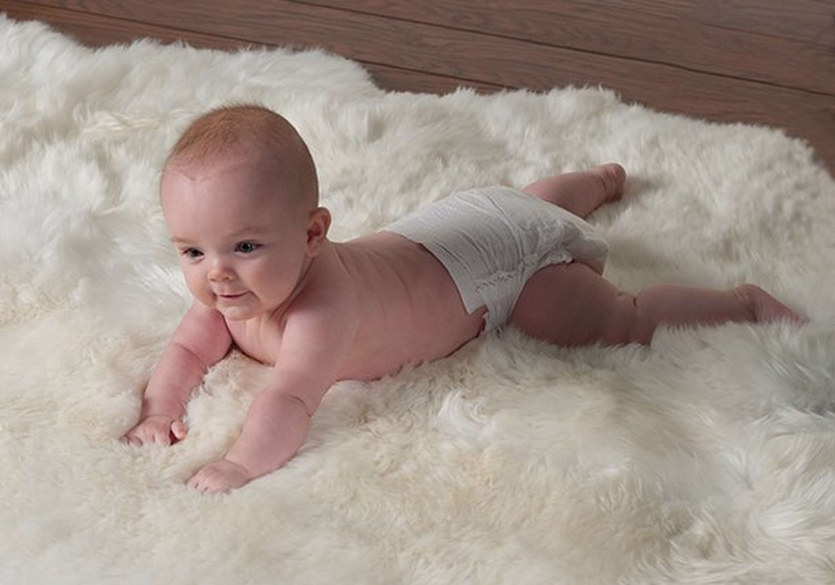 Rugs