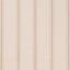 Cream / Beige