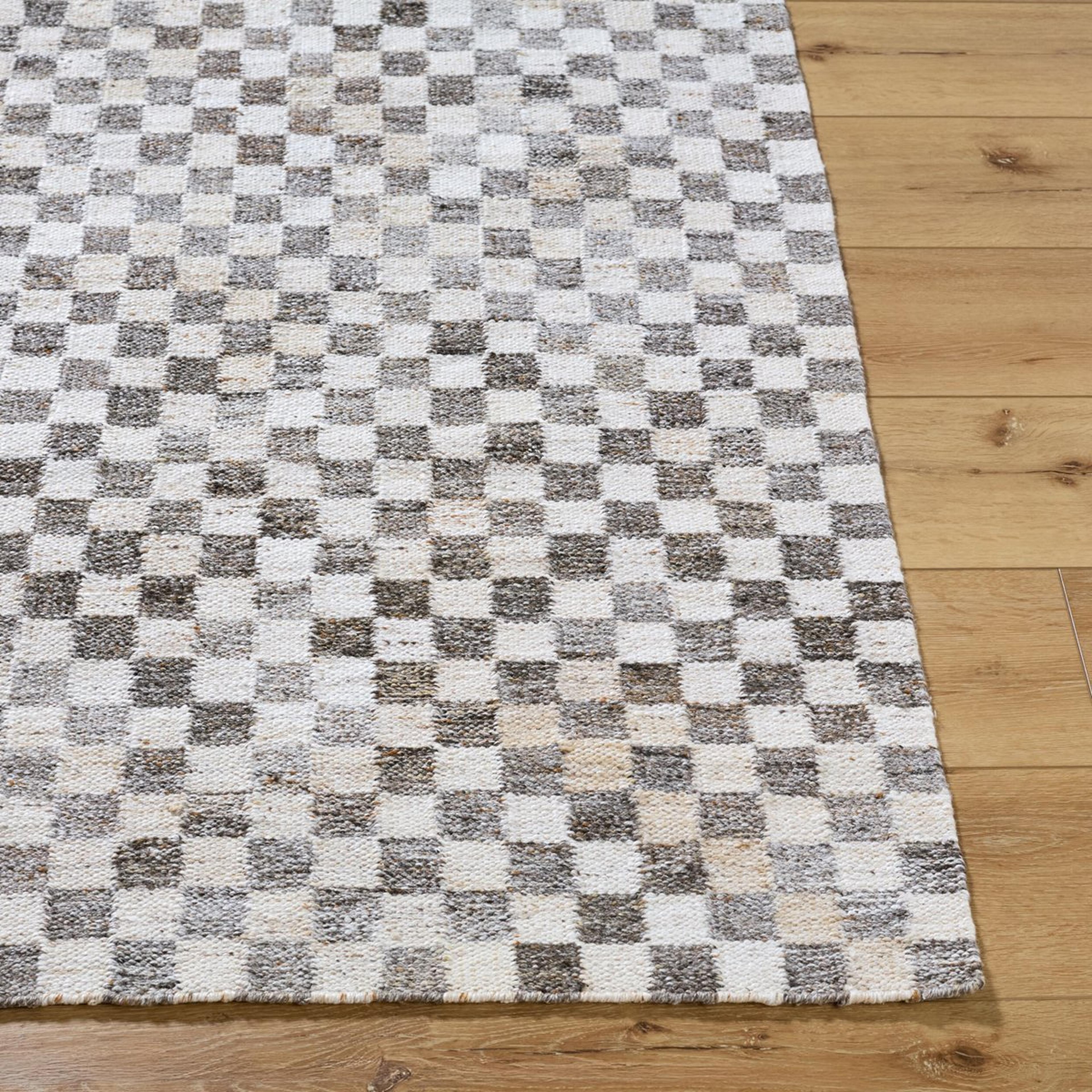A Strategy Indoor / Outdoor Rug with Dark Gray / White color