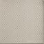 Light Gray / Neutrals